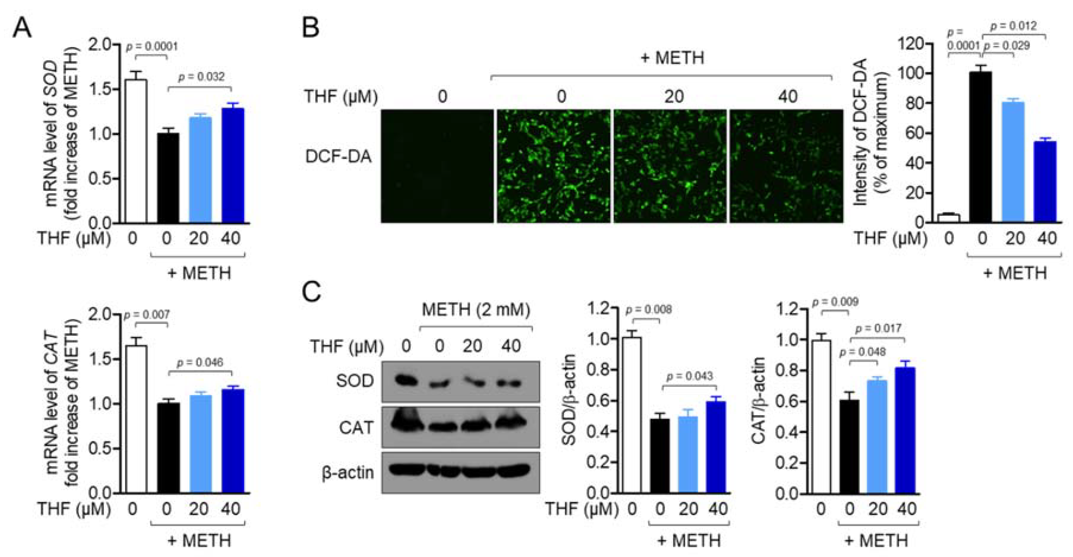 Molecules 26 02442 g004 Molecules 26 02442 g004