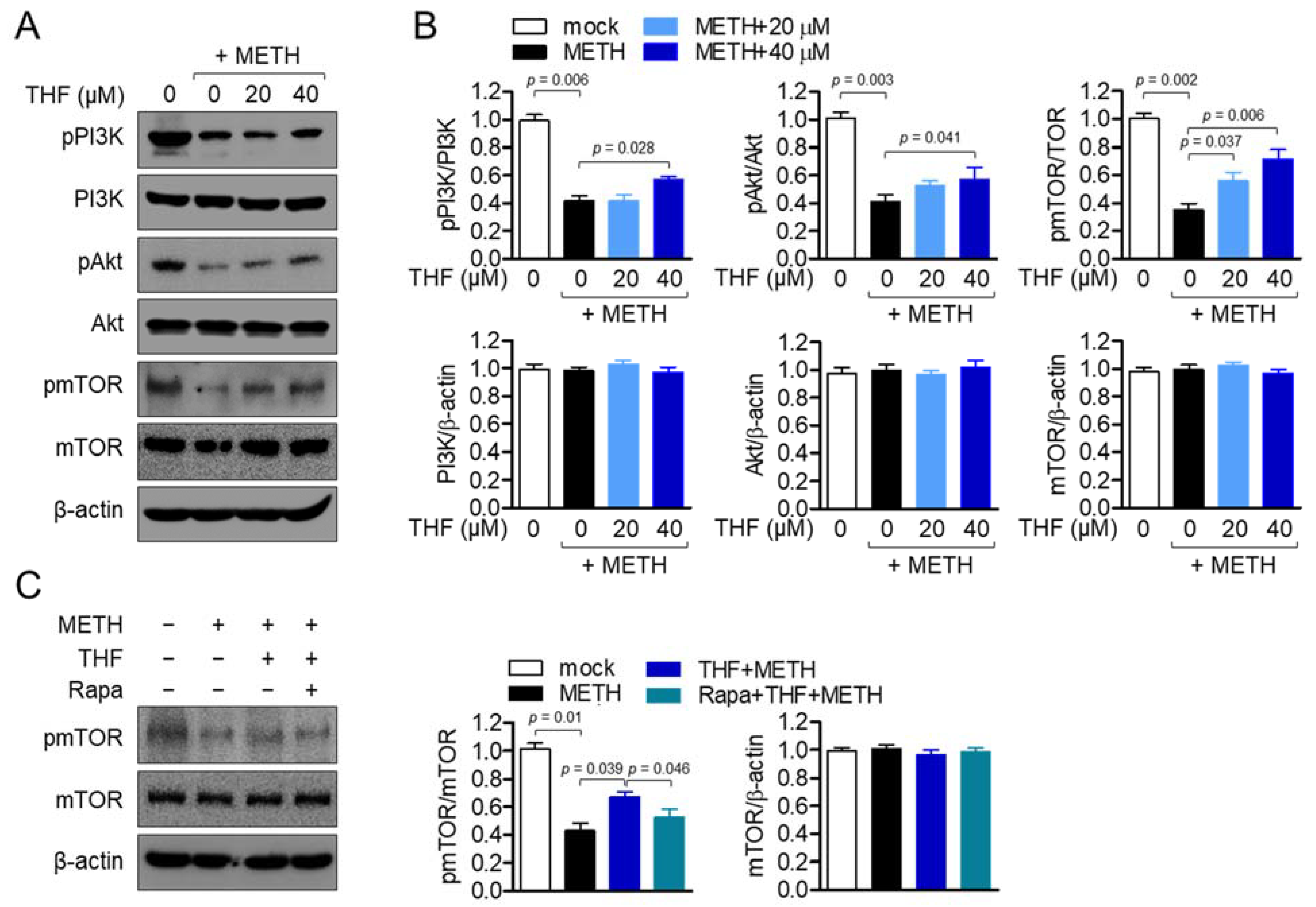 Molecules 26 02442 g005 Molecules 26 02442 g005