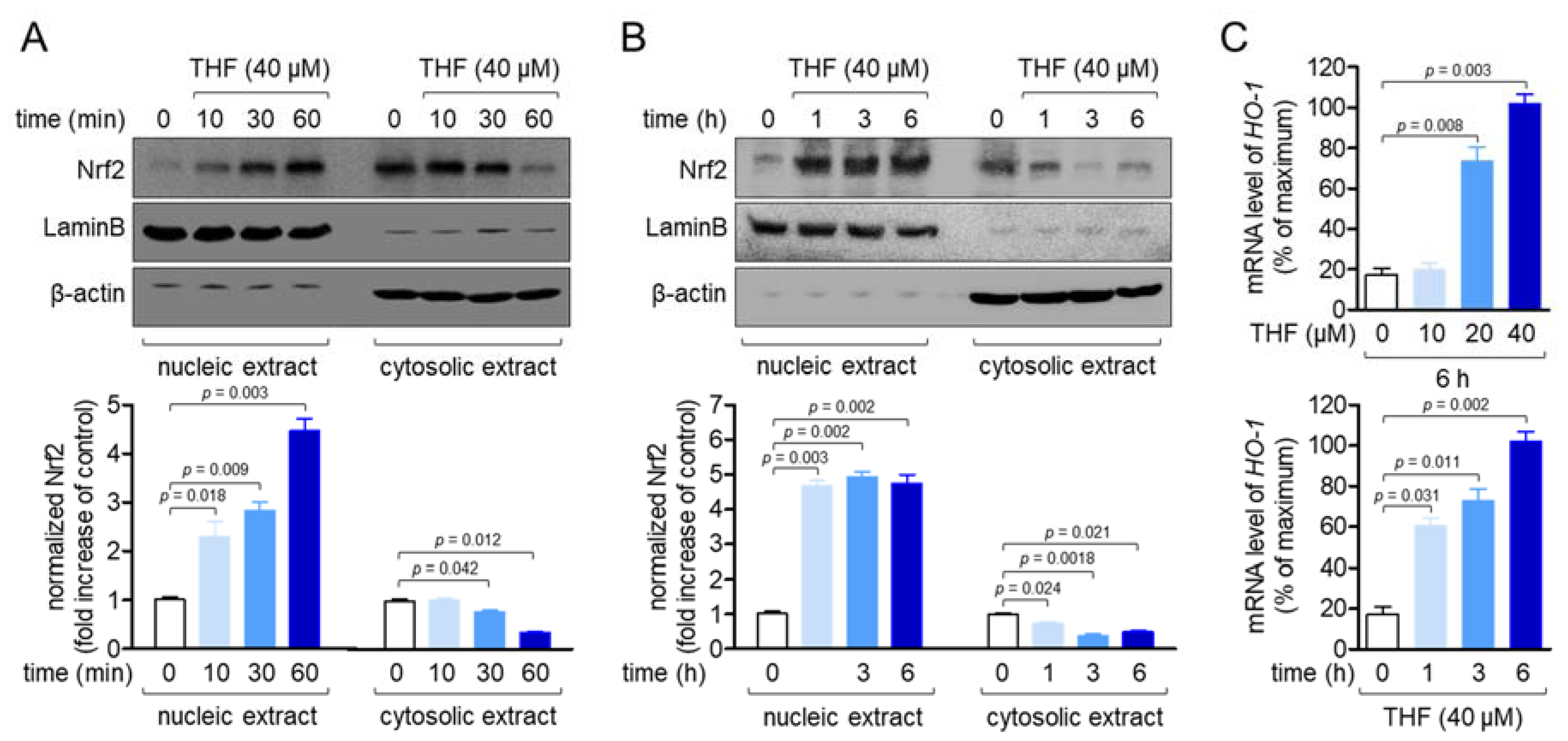Molecules 26 02442 g006 Molecules 26 02442 g006