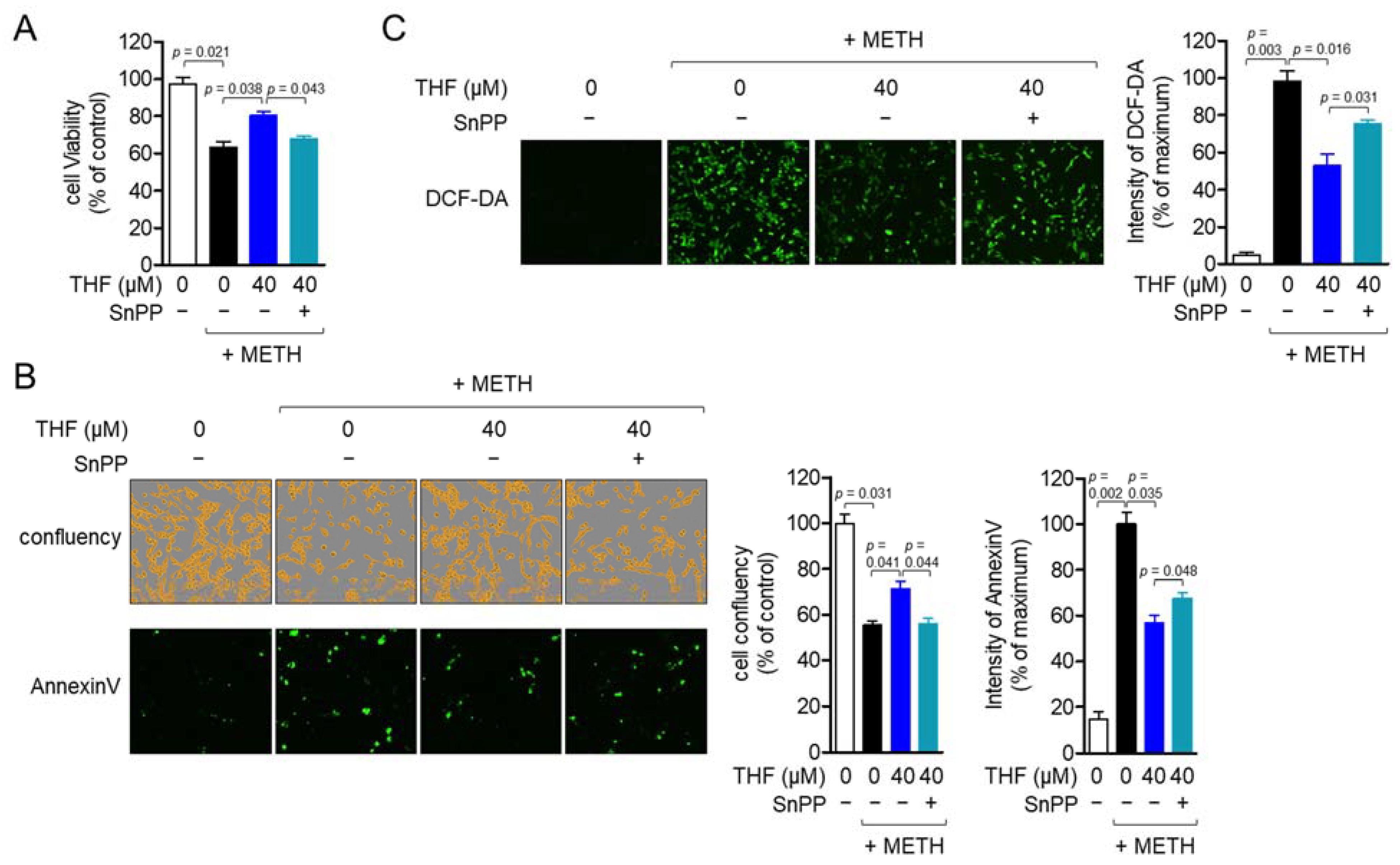 Molecules 26 02442 g007 Molecules 26 02442 g007