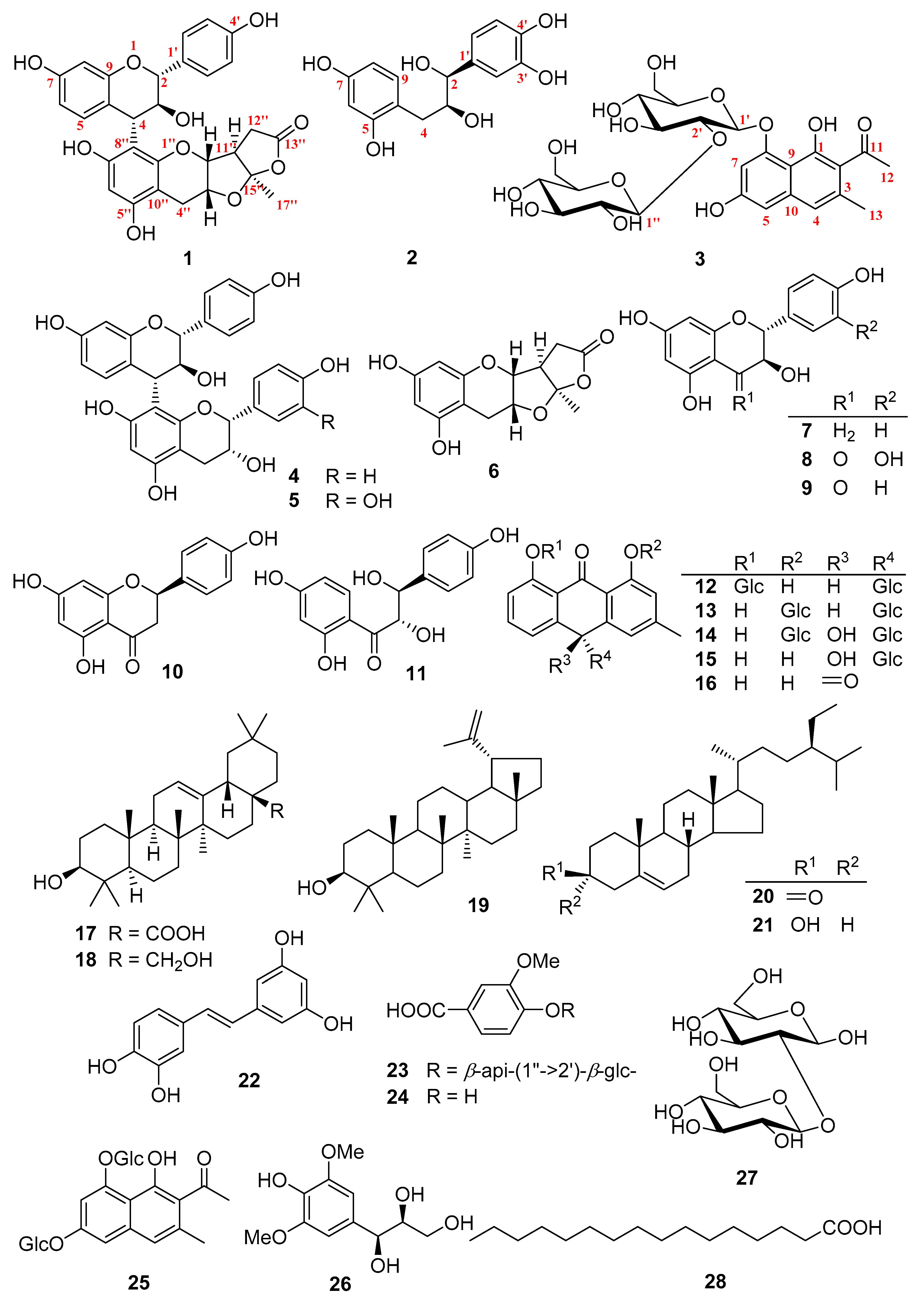 Molecules 26 02455 g001