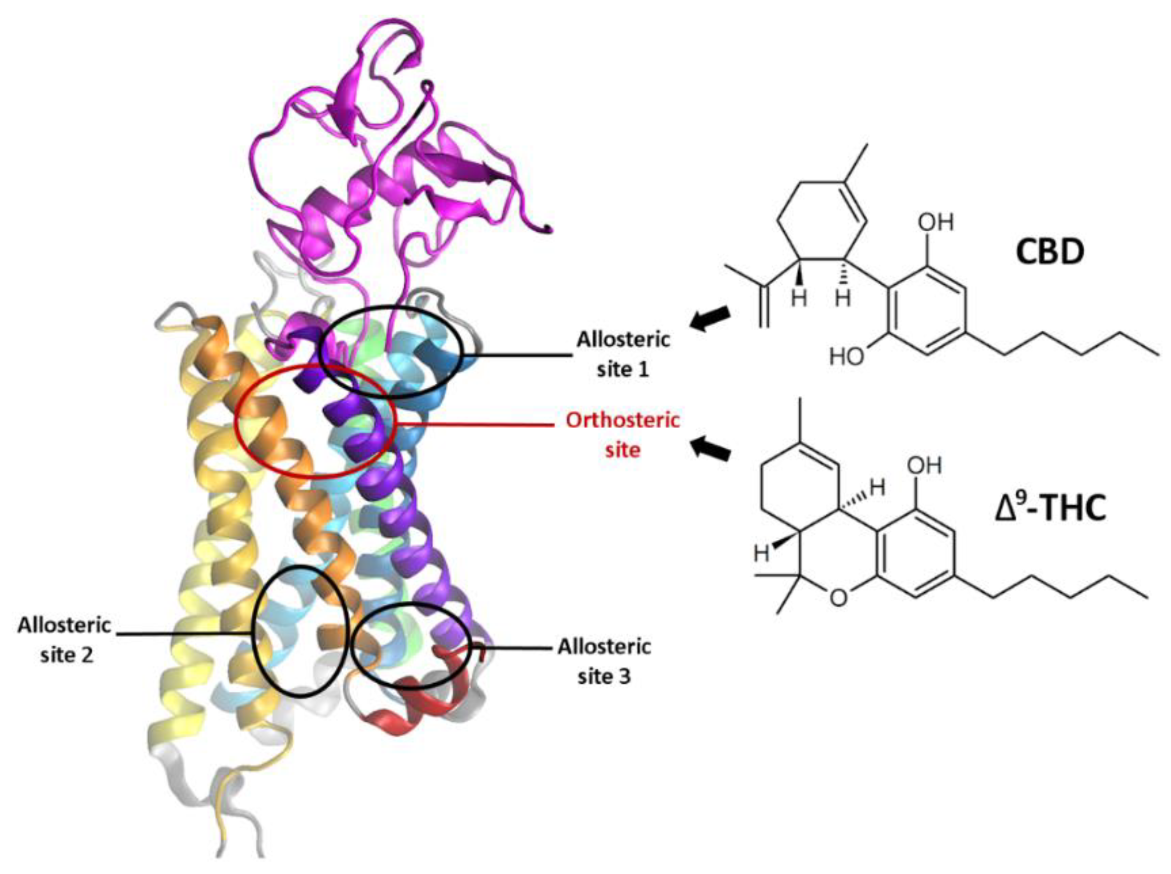 Molecules Free FullText Allosteric Modulation of the CB1