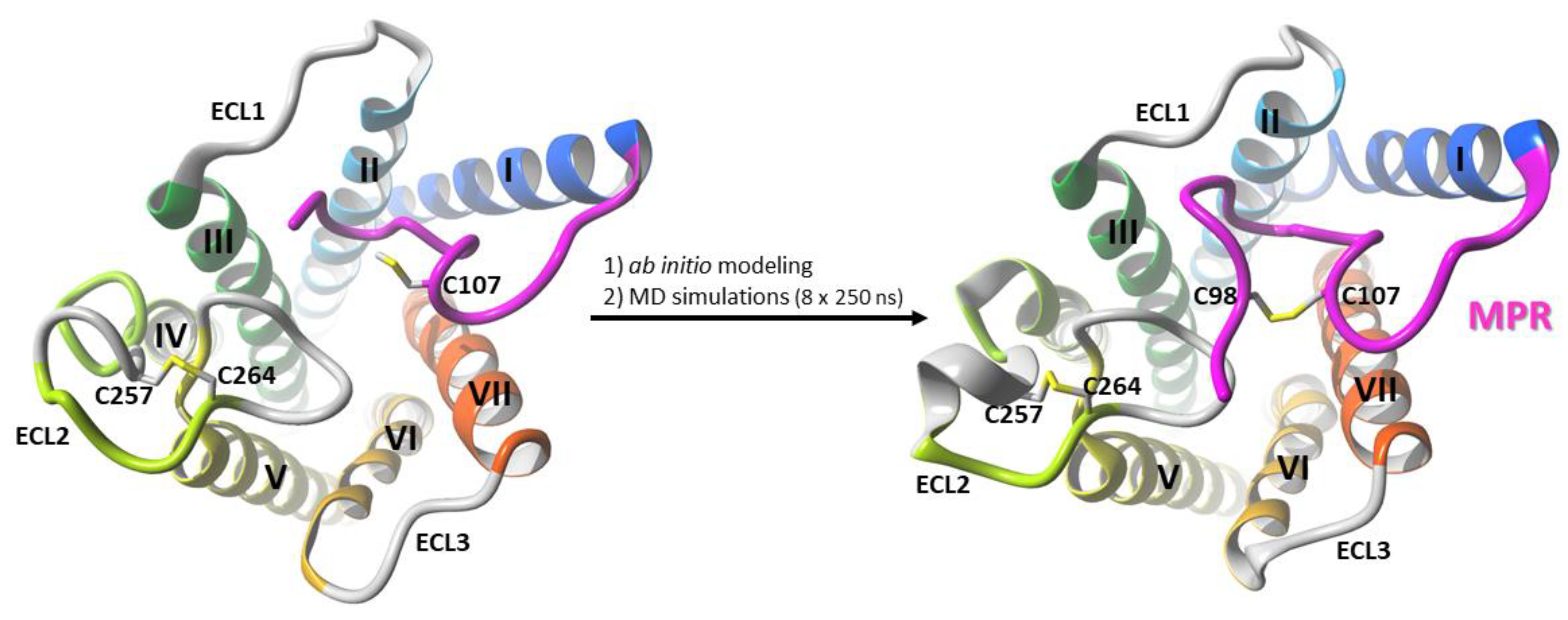 Molecules 26 02456 g006 Molecules 26 02456 g006