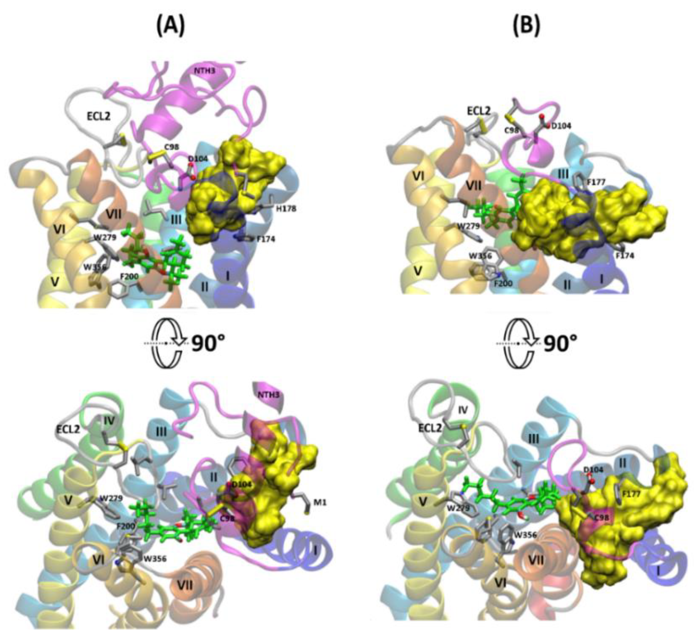 Molecules 26 02456 g011 Molecules 26 02456 g011