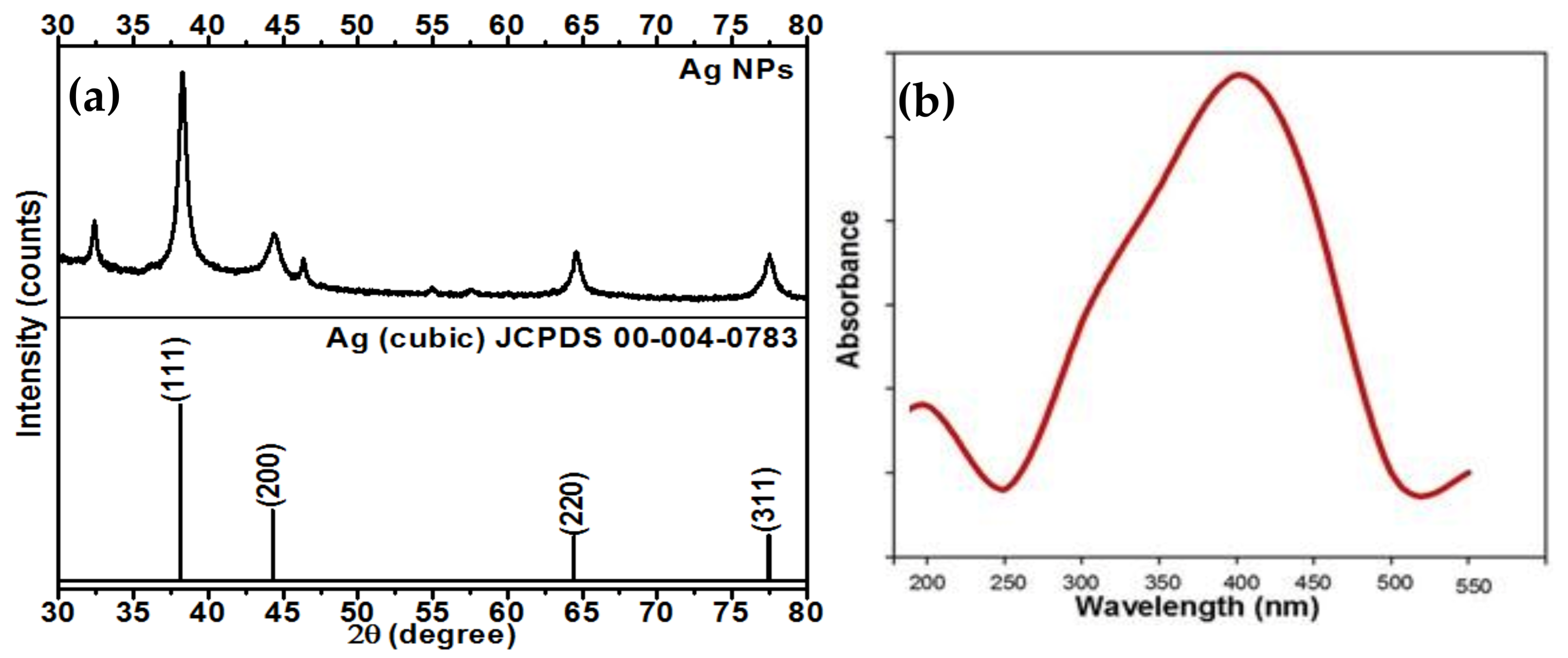 Molecules 26 02462 g001