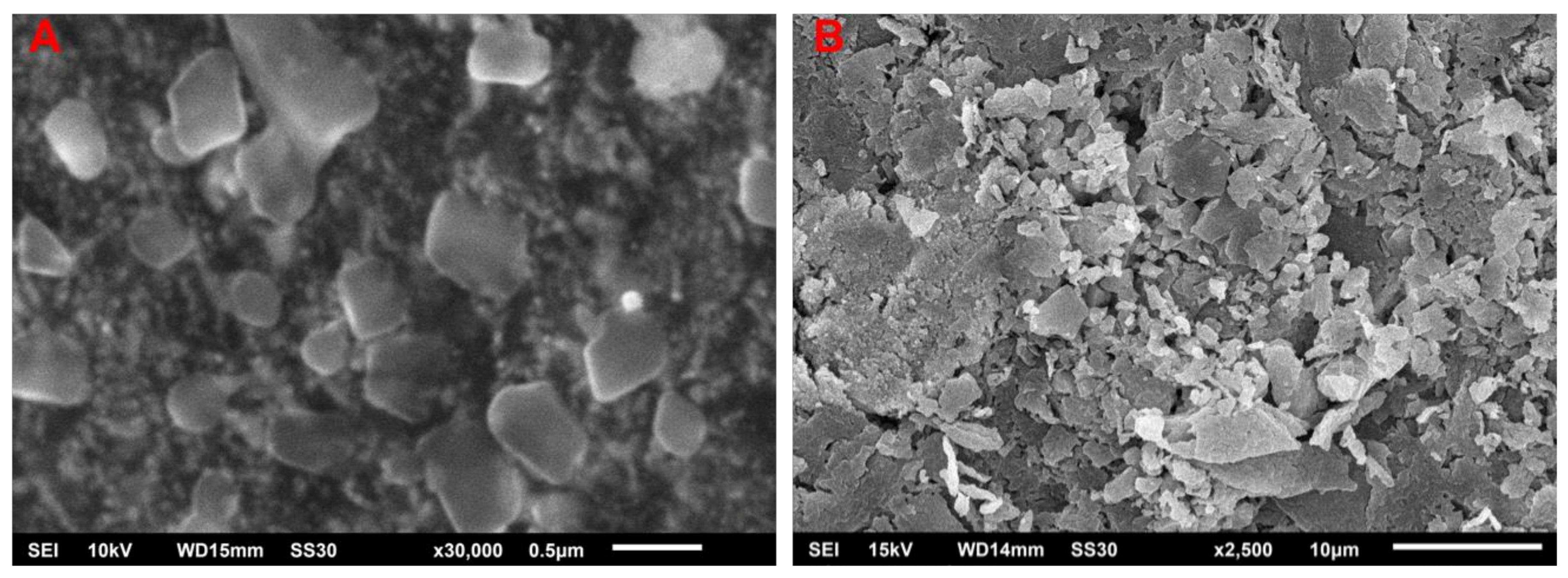 Molecules 26 02462 g002
