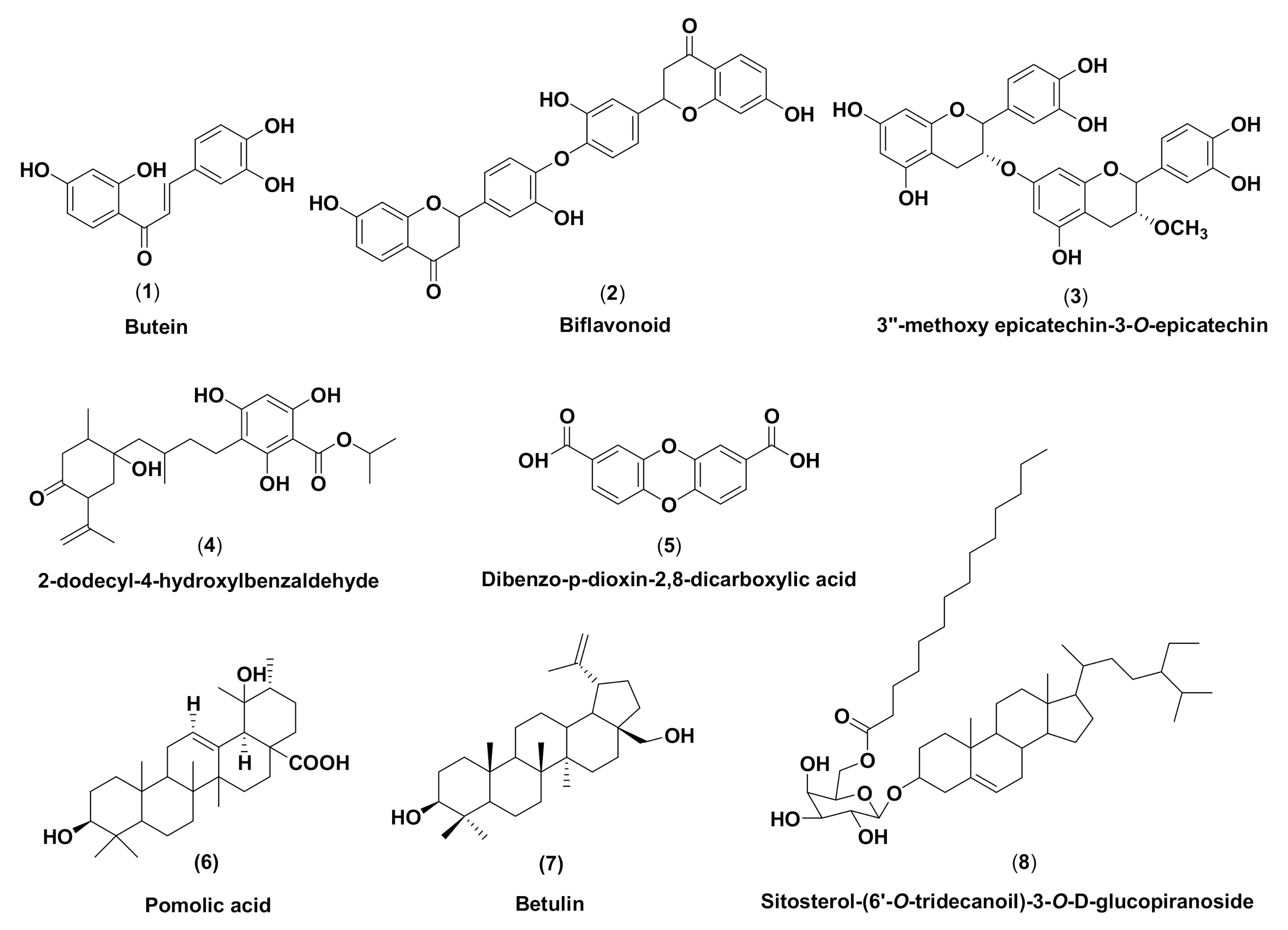 Molecules 26 02465 g001