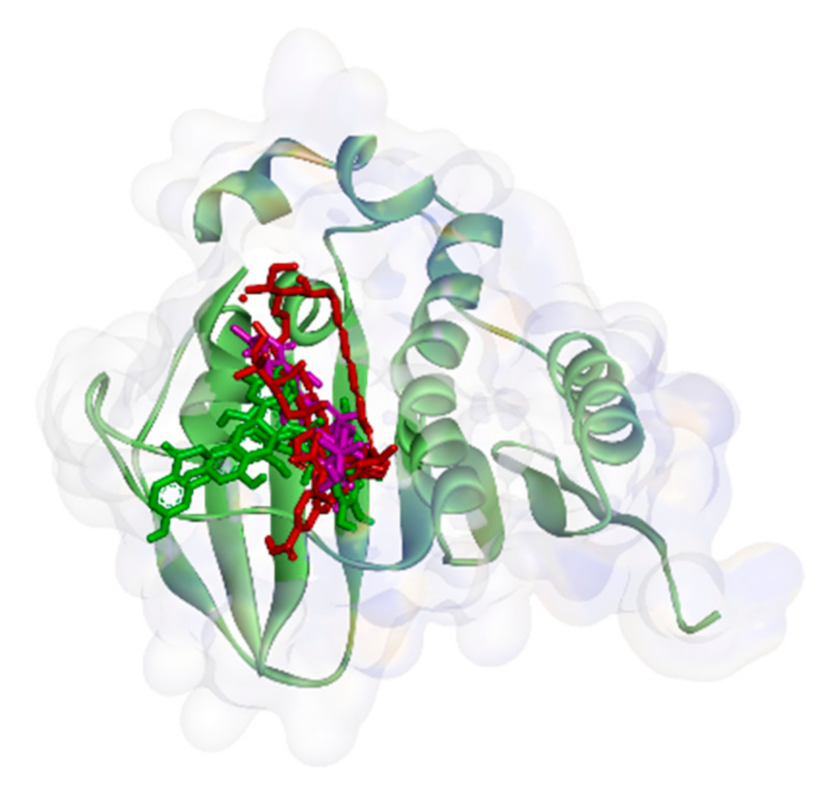 Molecules 26 02465 g003