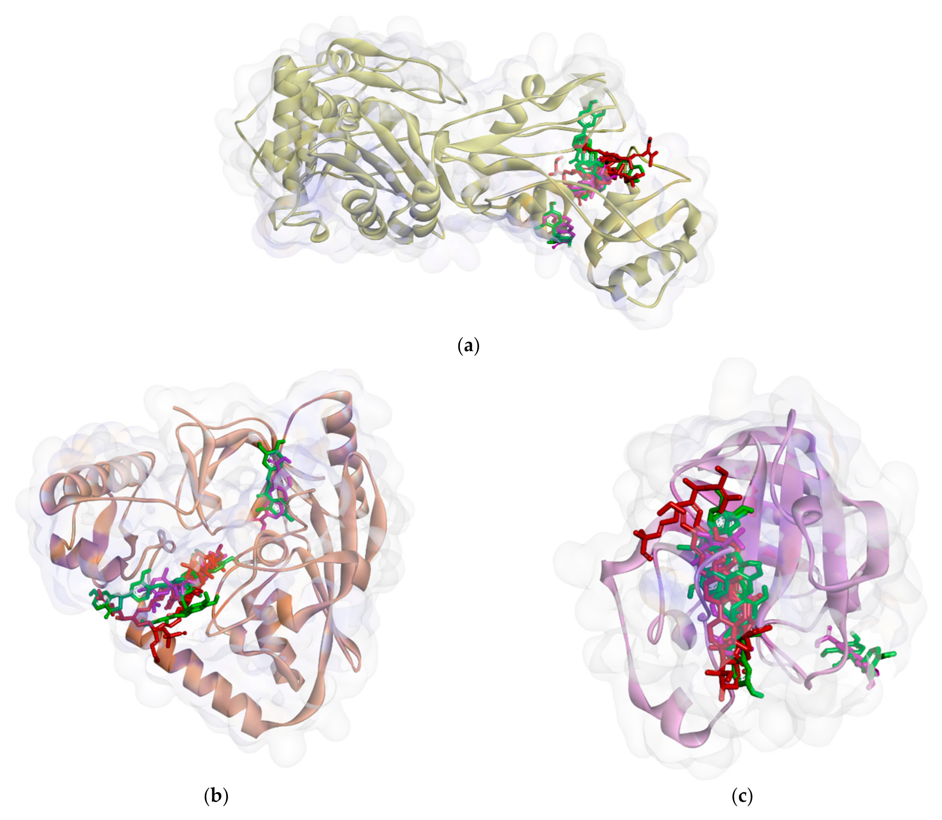 Molecules 26 02465 g004