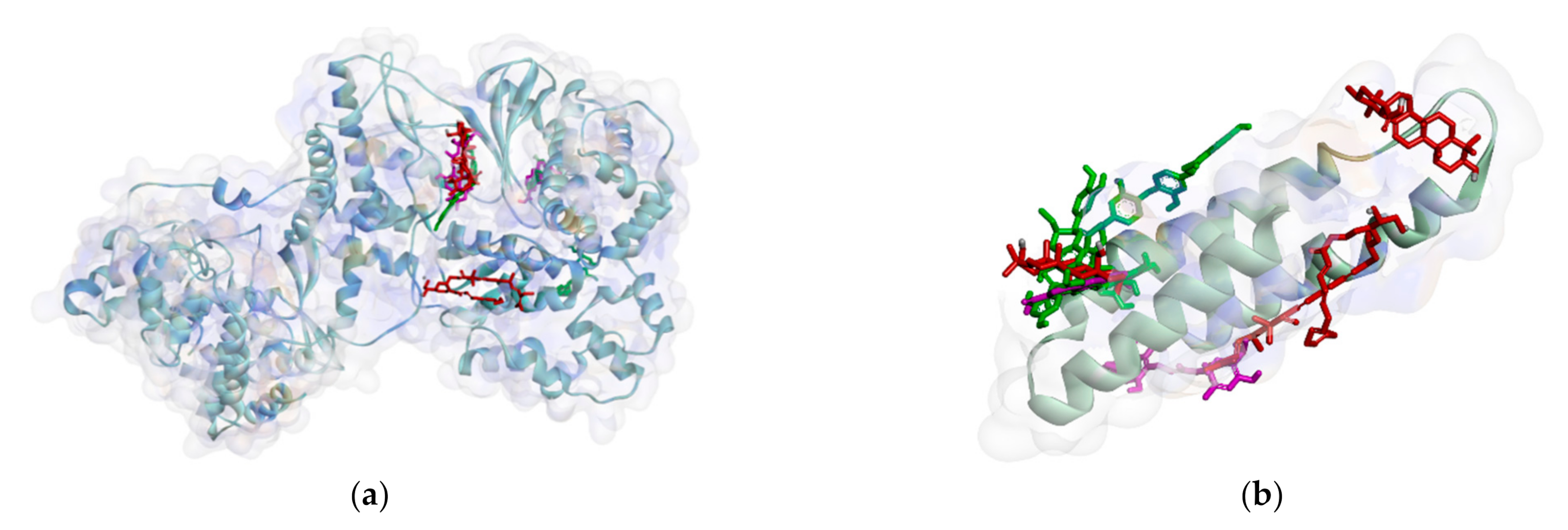 Molecules 26 02465 g005a