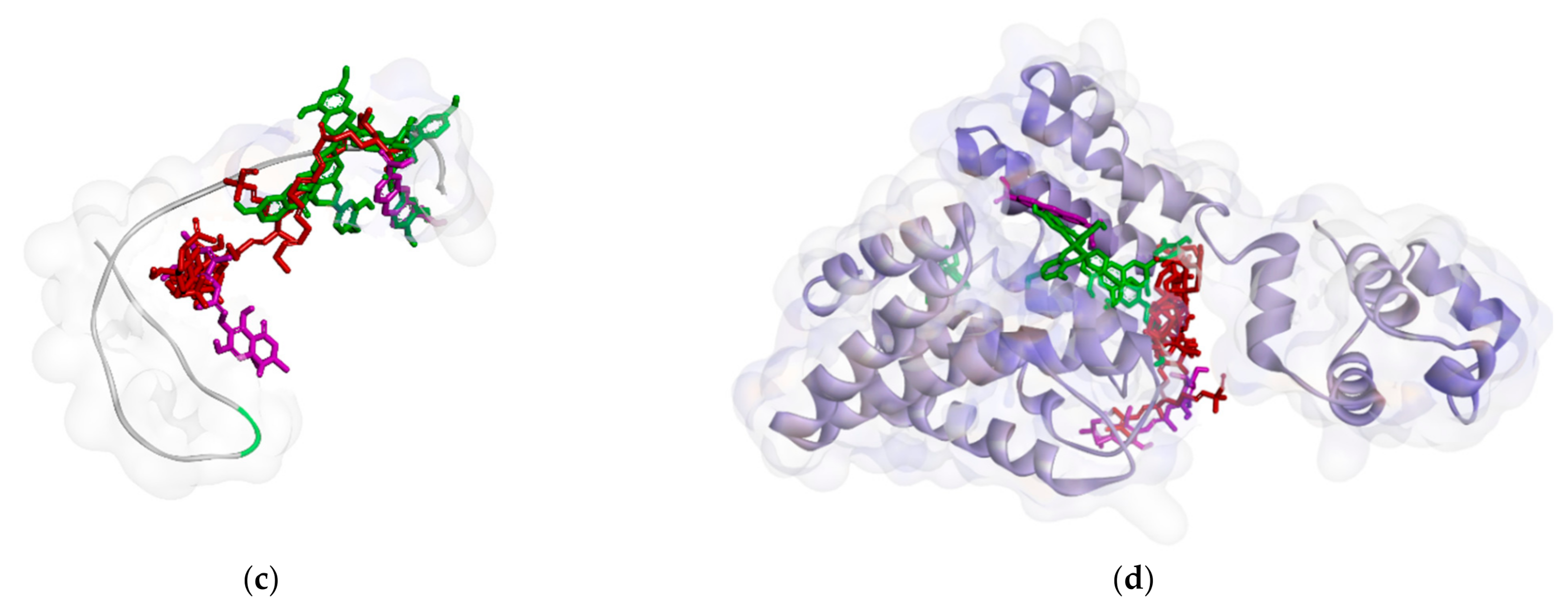 Molecules 26 02465 g005b