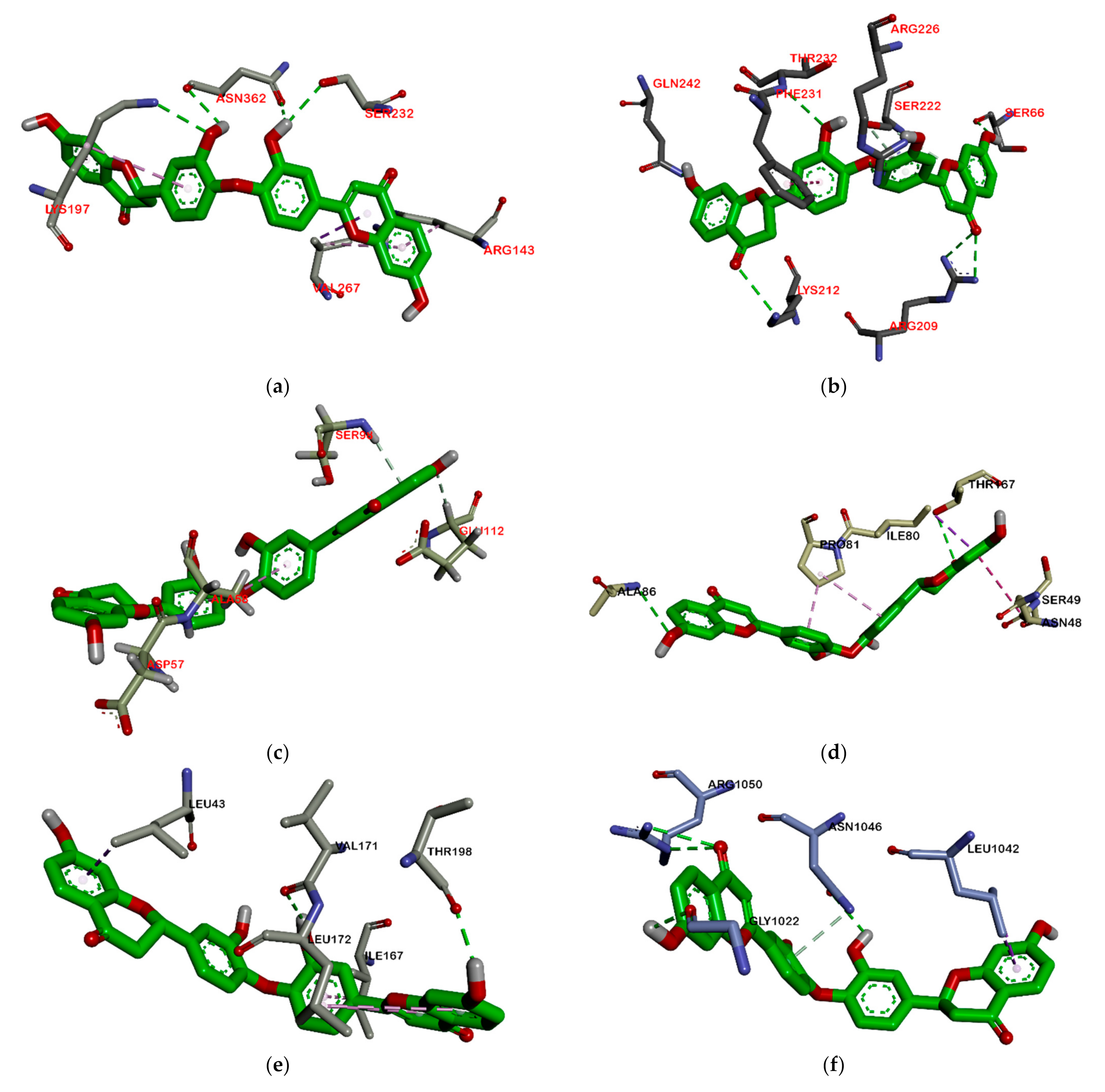 Molecules 26 02465 g007
