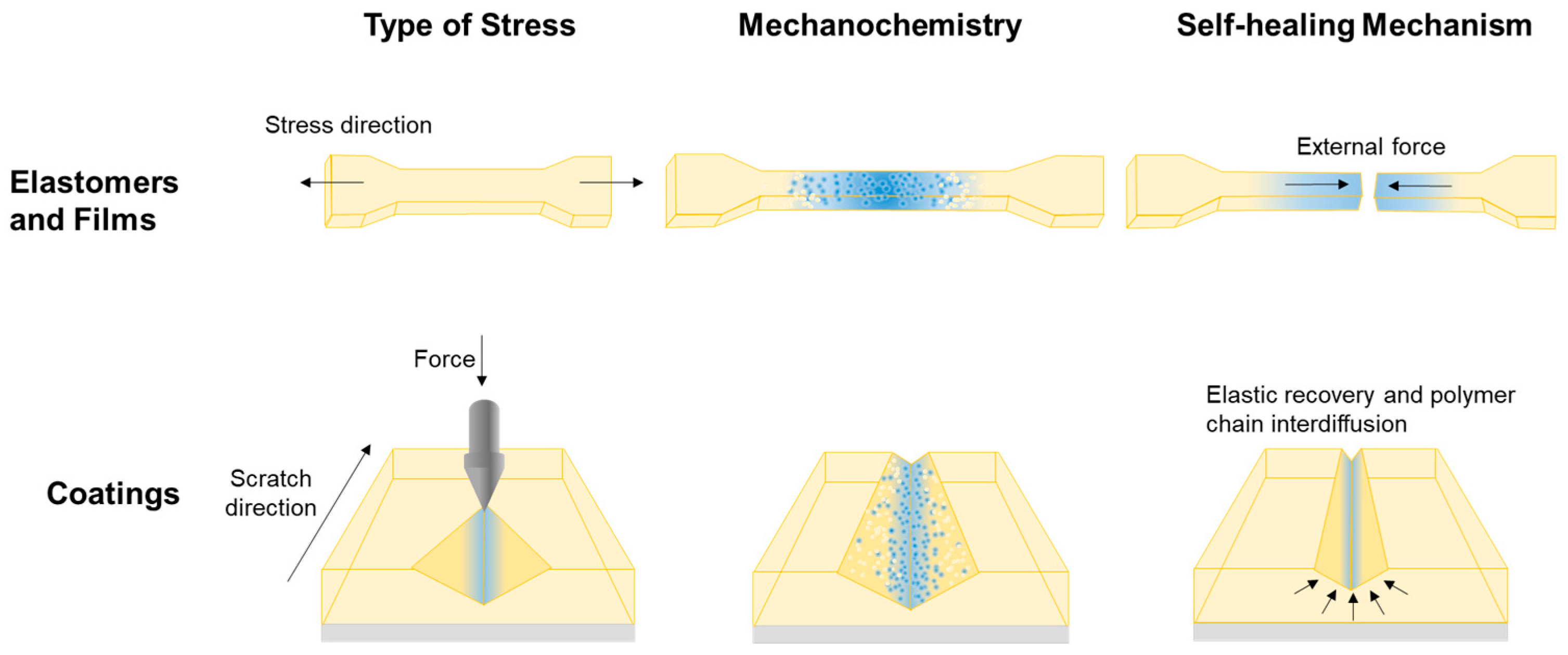 Molecules 26 02468 g001