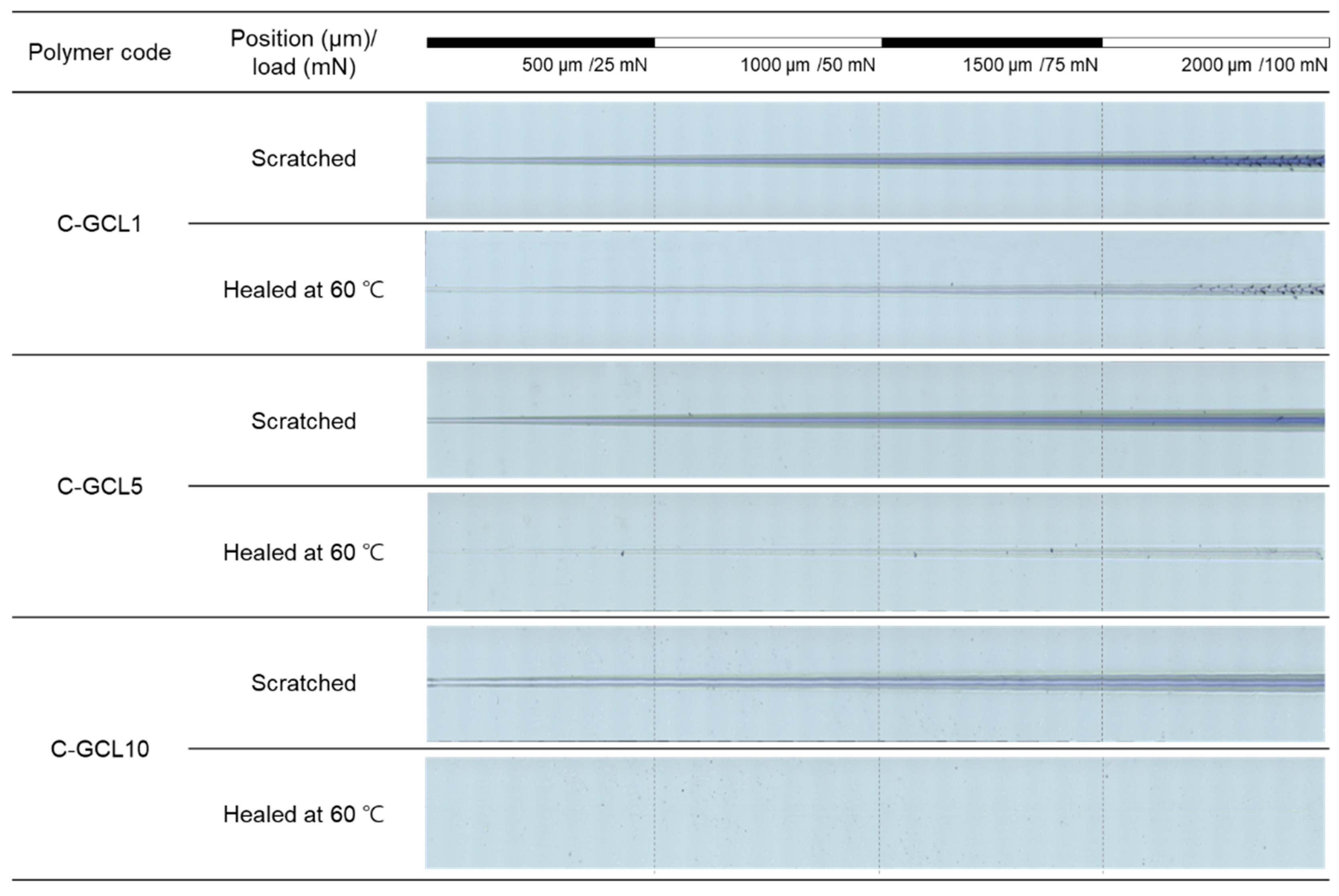 Molecules 26 02468 g005