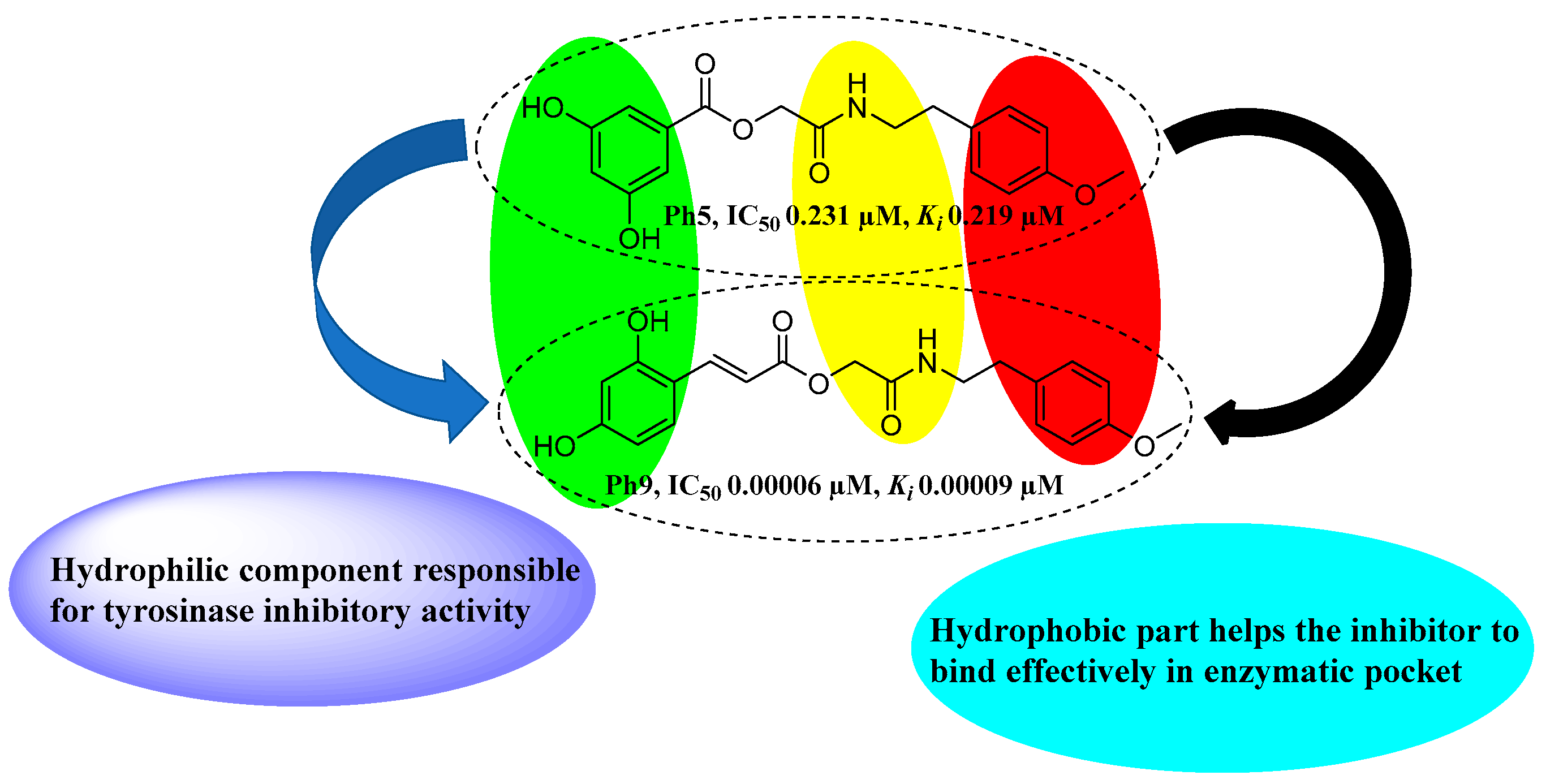 Molecules 26 02477 g005 Molecules 26 02477 g005