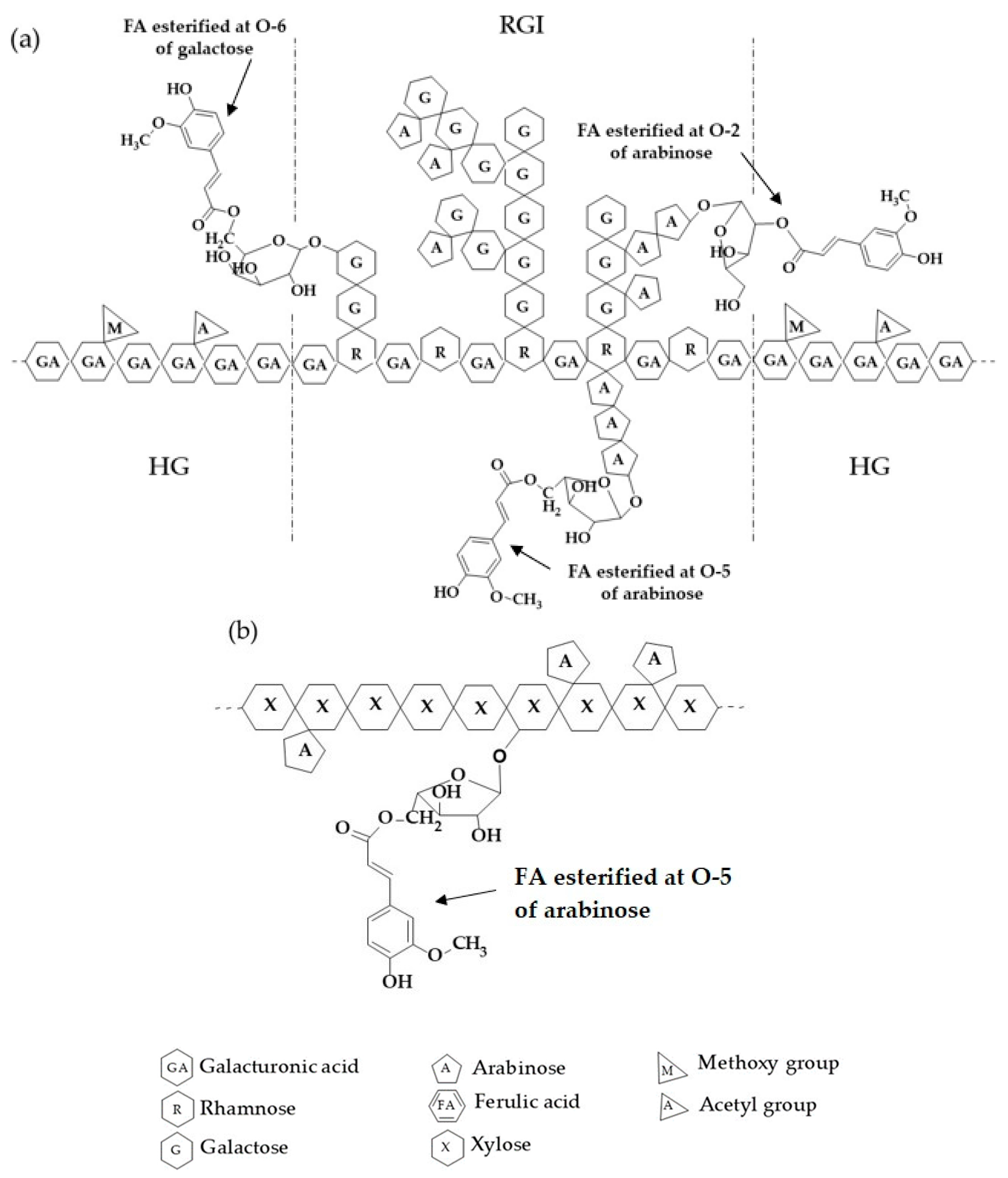Molecules 26 02478 g001