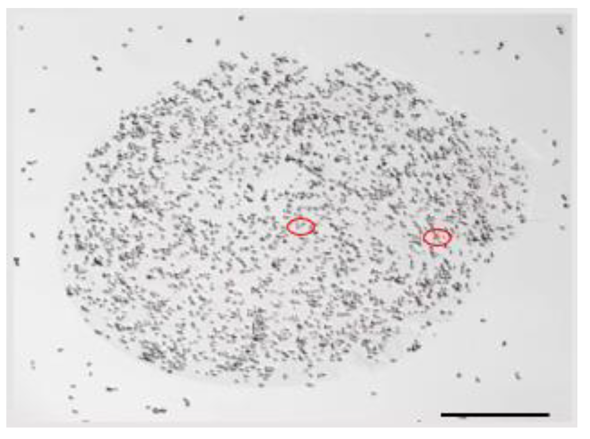 Molecules 26 02478 g004