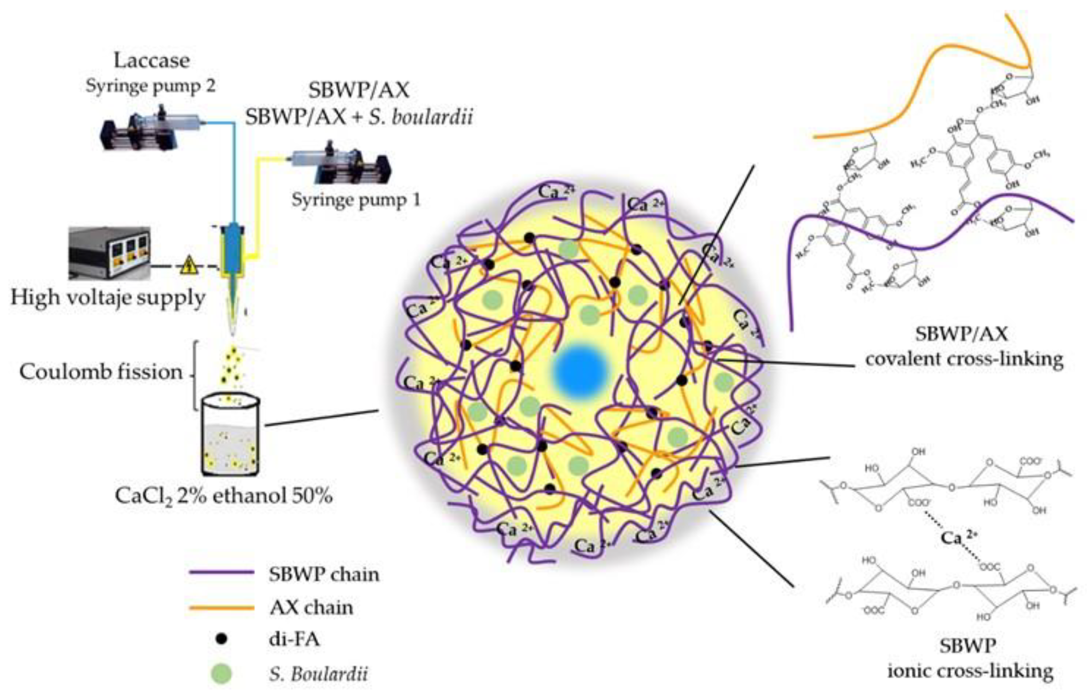 Molecules 26 02478 g005