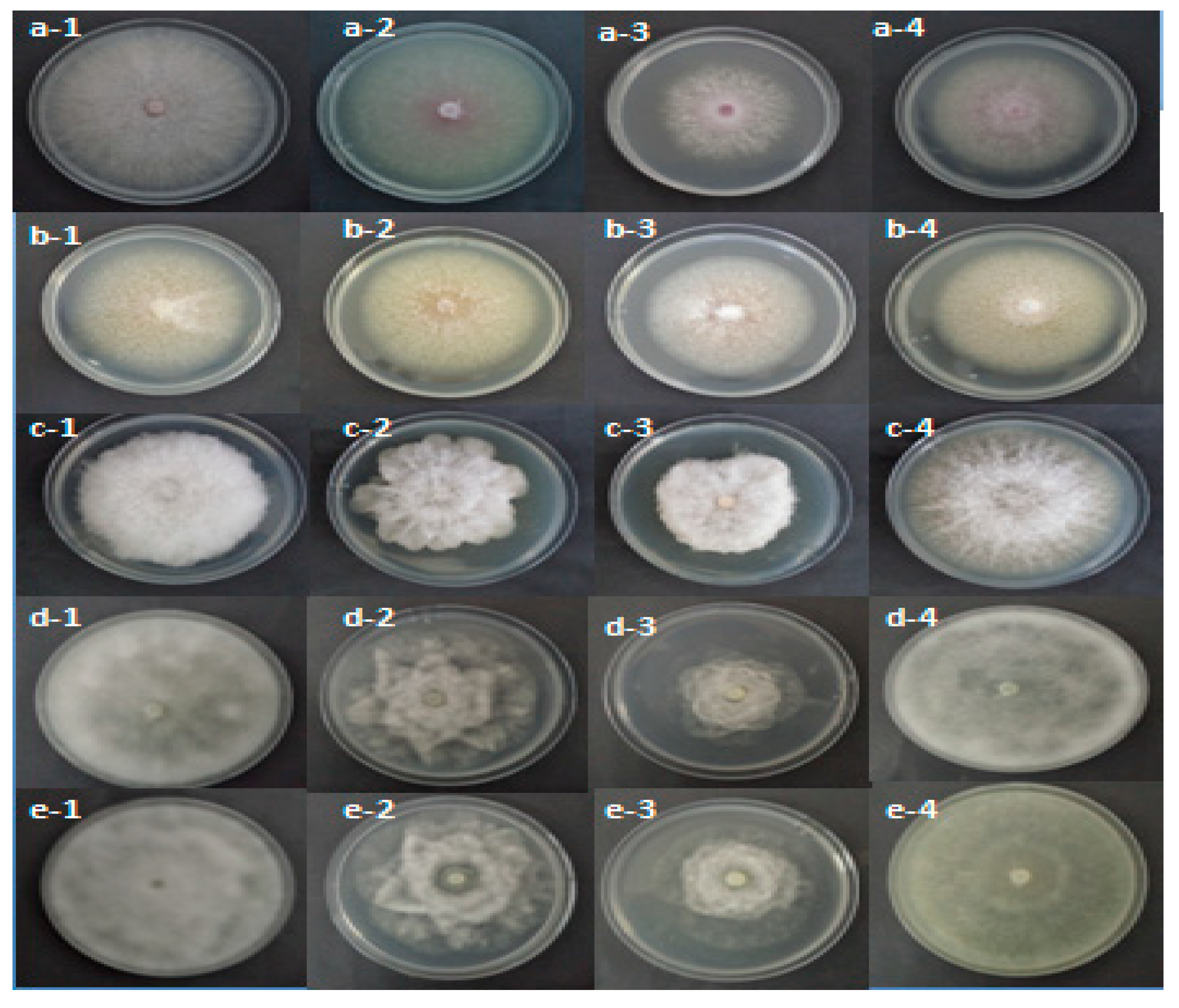 Molecules 26 02479 g001 Molecules 26 02479 g001