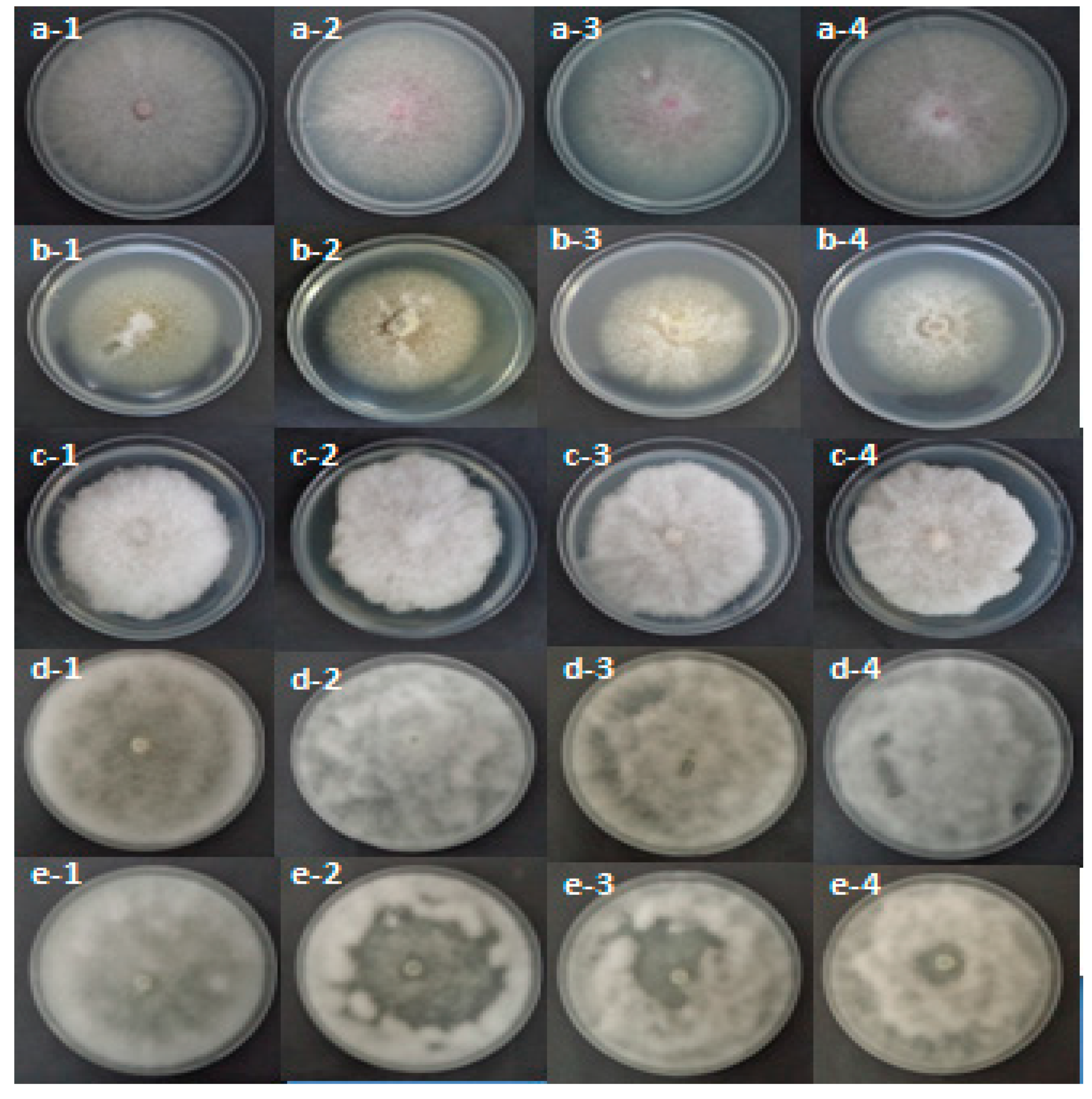 Molecules 26 02479 g002 Molecules 26 02479 g002