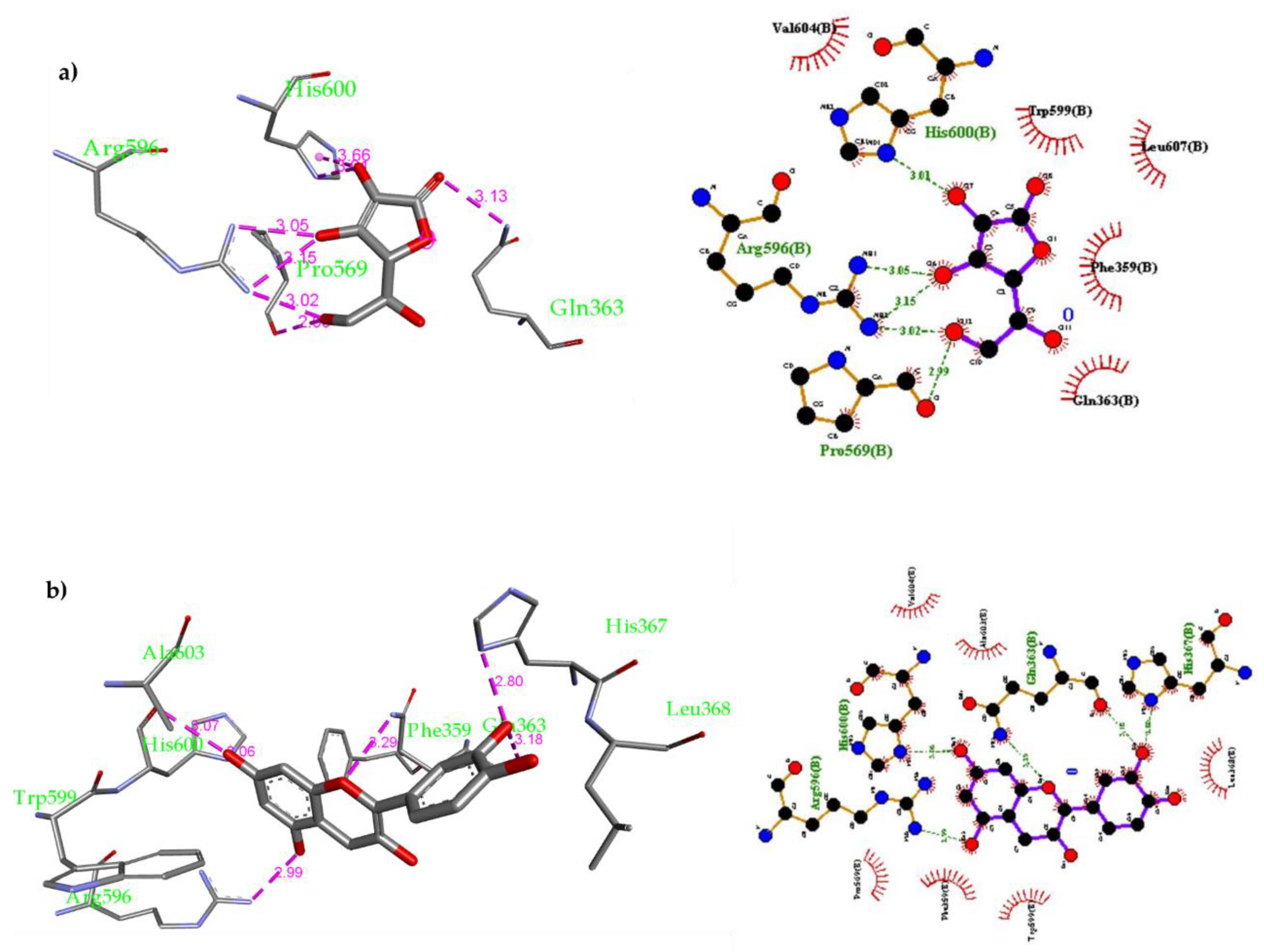 Molecules 26 02481 g003 Molecules 26 02481 g003