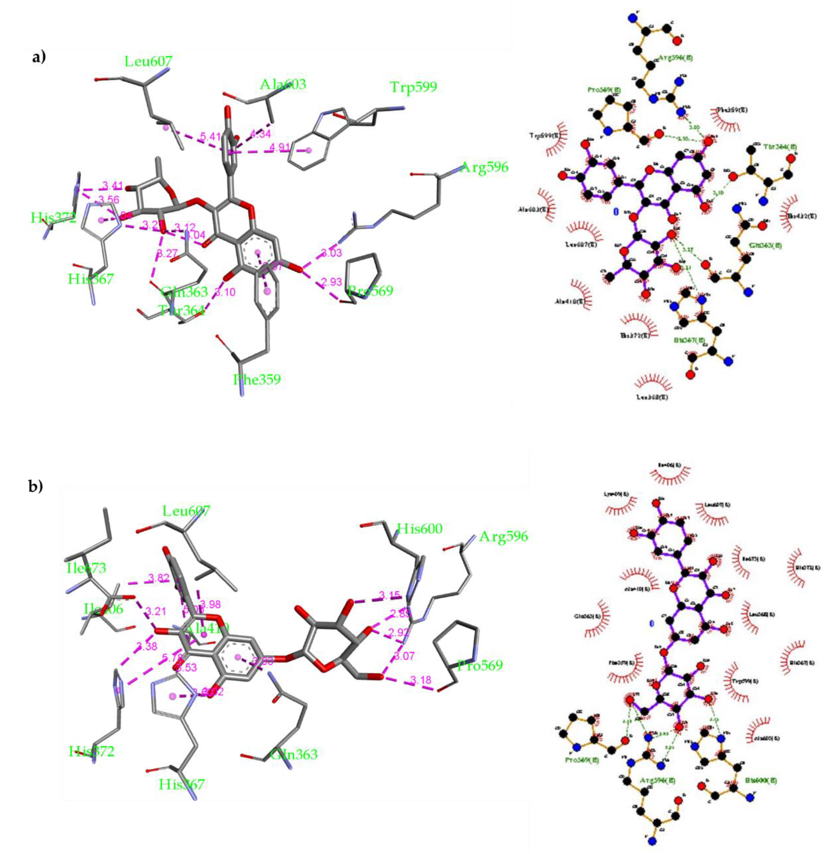 Molecules 26 02481 g005 Molecules 26 02481 g005