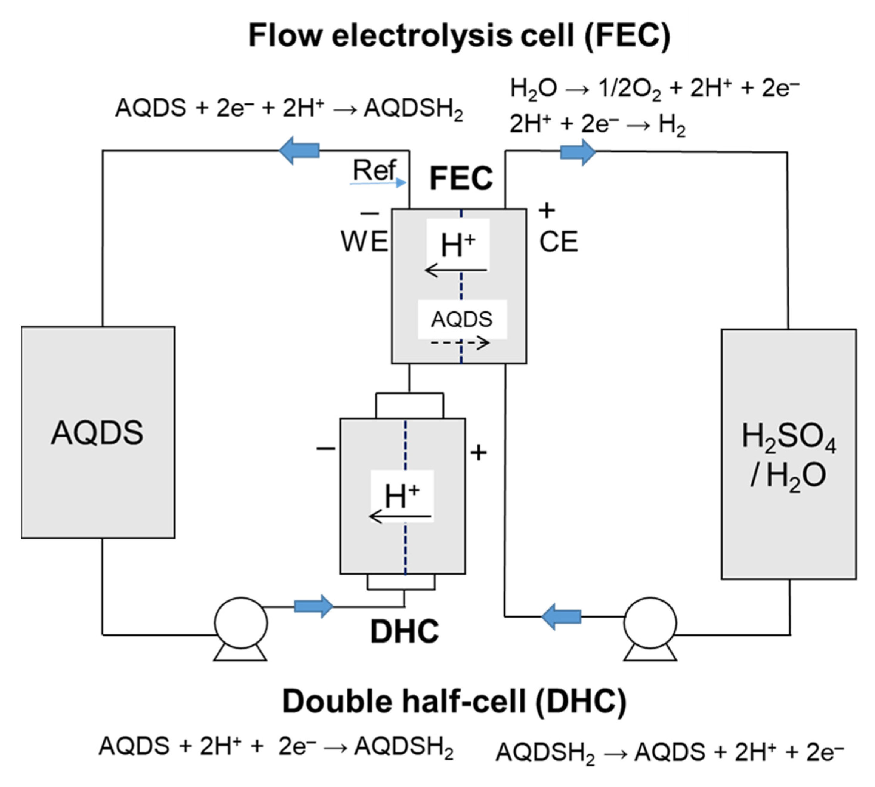 Molecules 26 02484 g002 Molecules 26 02484 g002