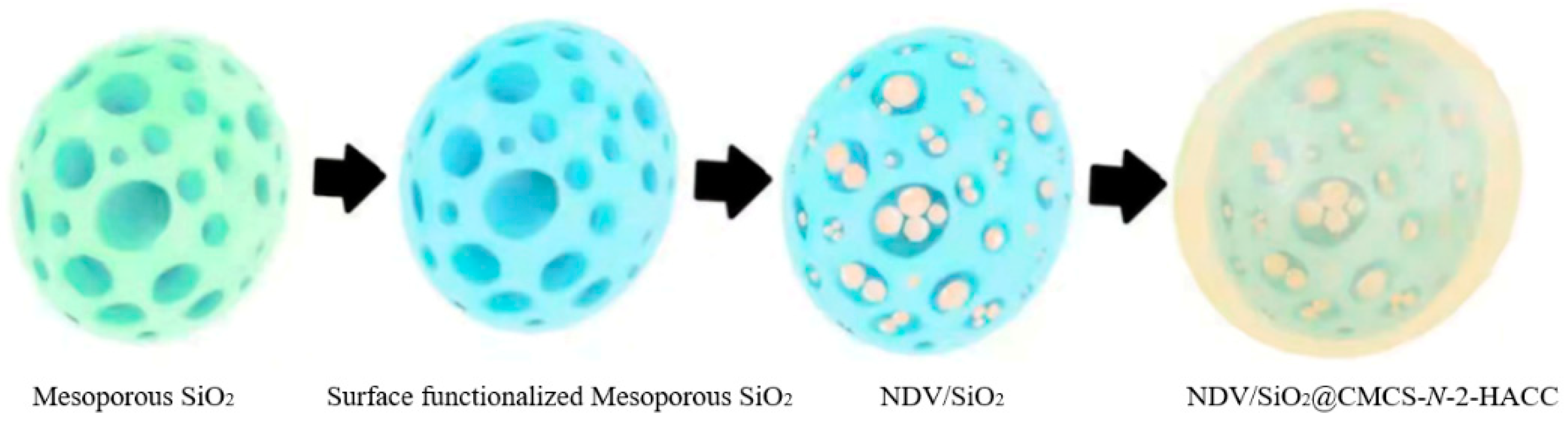 Molecules 26 02490 g001