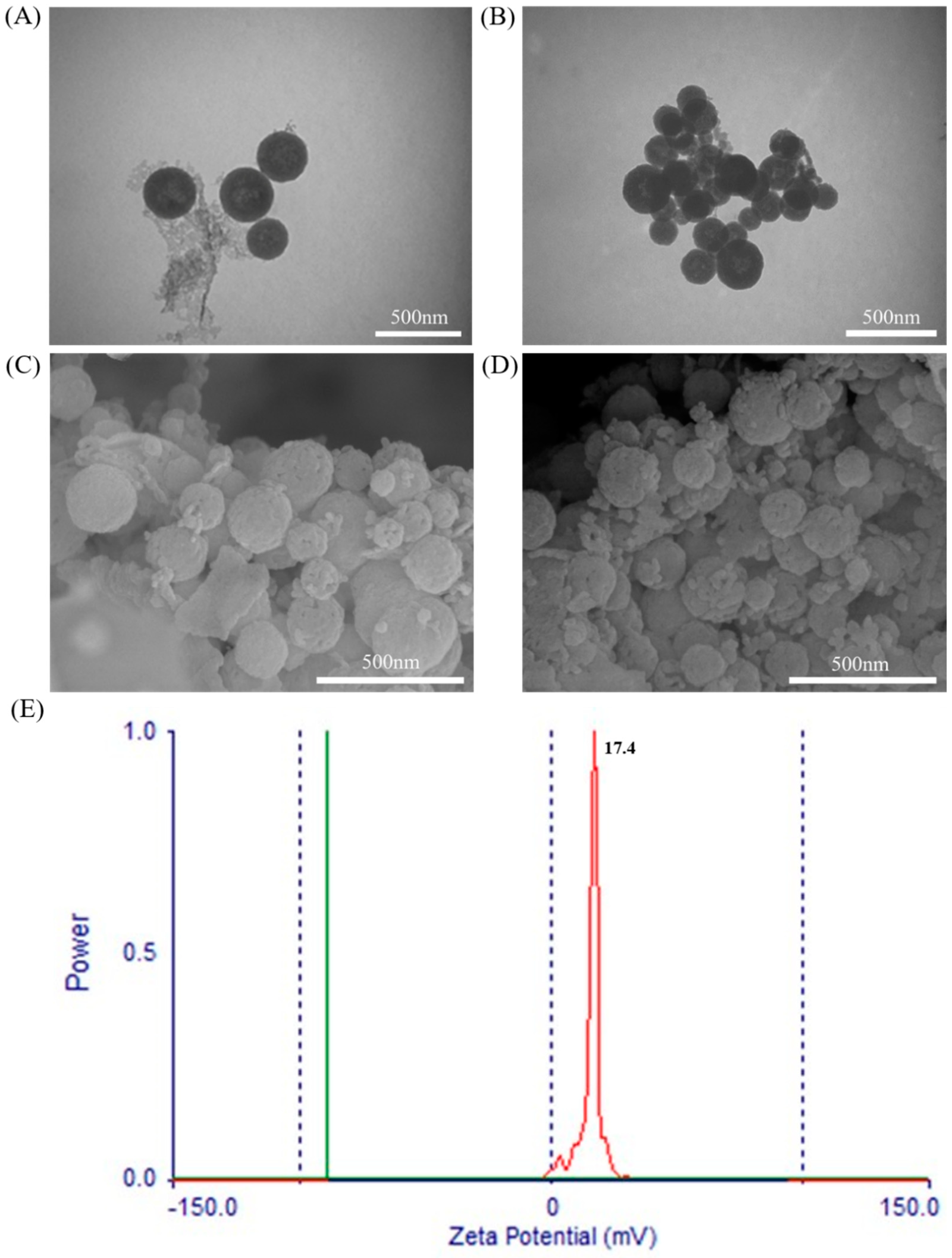 Molecules 26 02490 g003