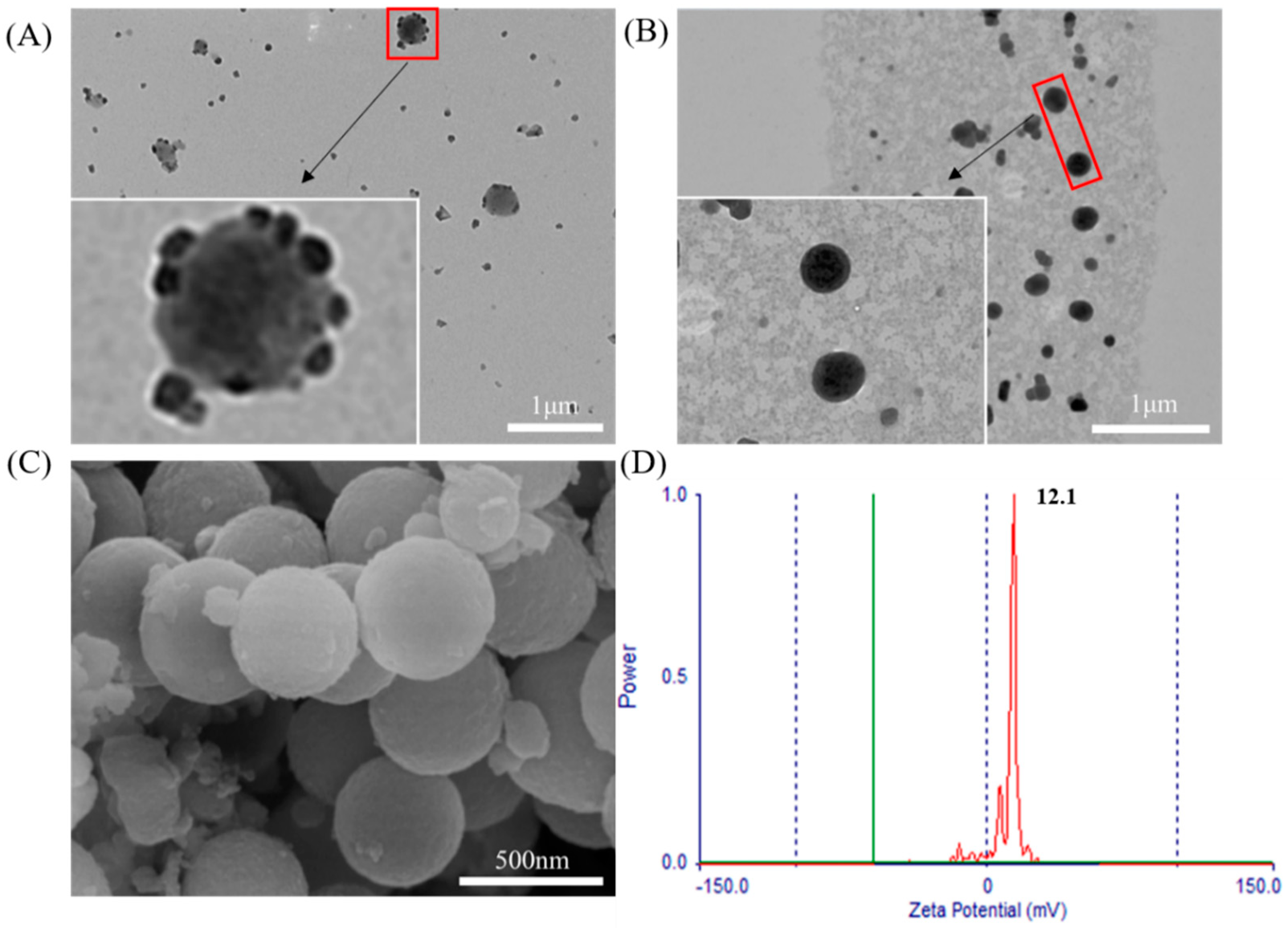 Molecules 26 02490 g004