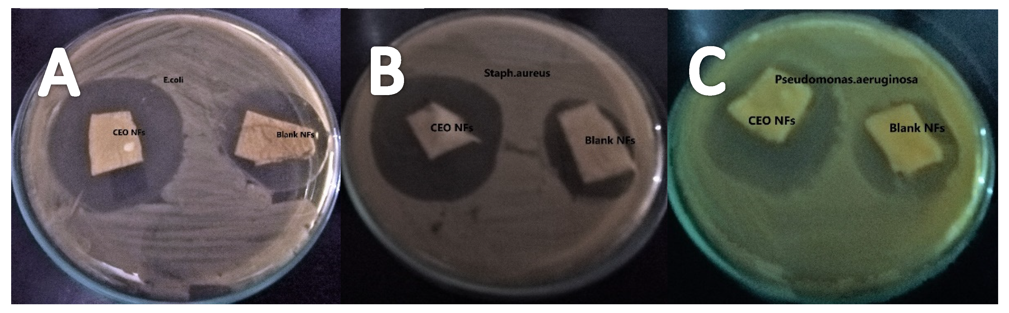 Molecules 26 02491 g007
