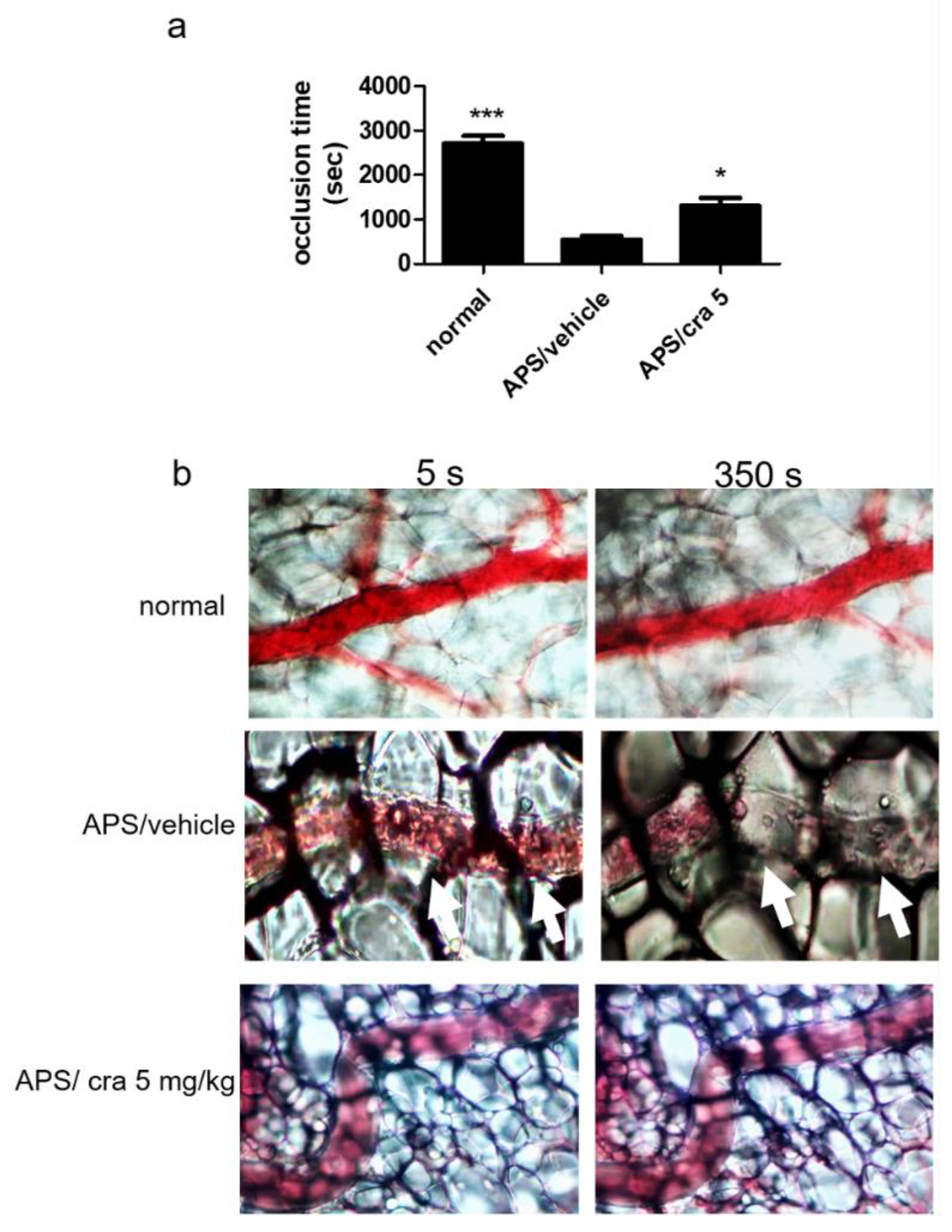 Molecules 26 02492 g007 Molecules 26 02492 g007