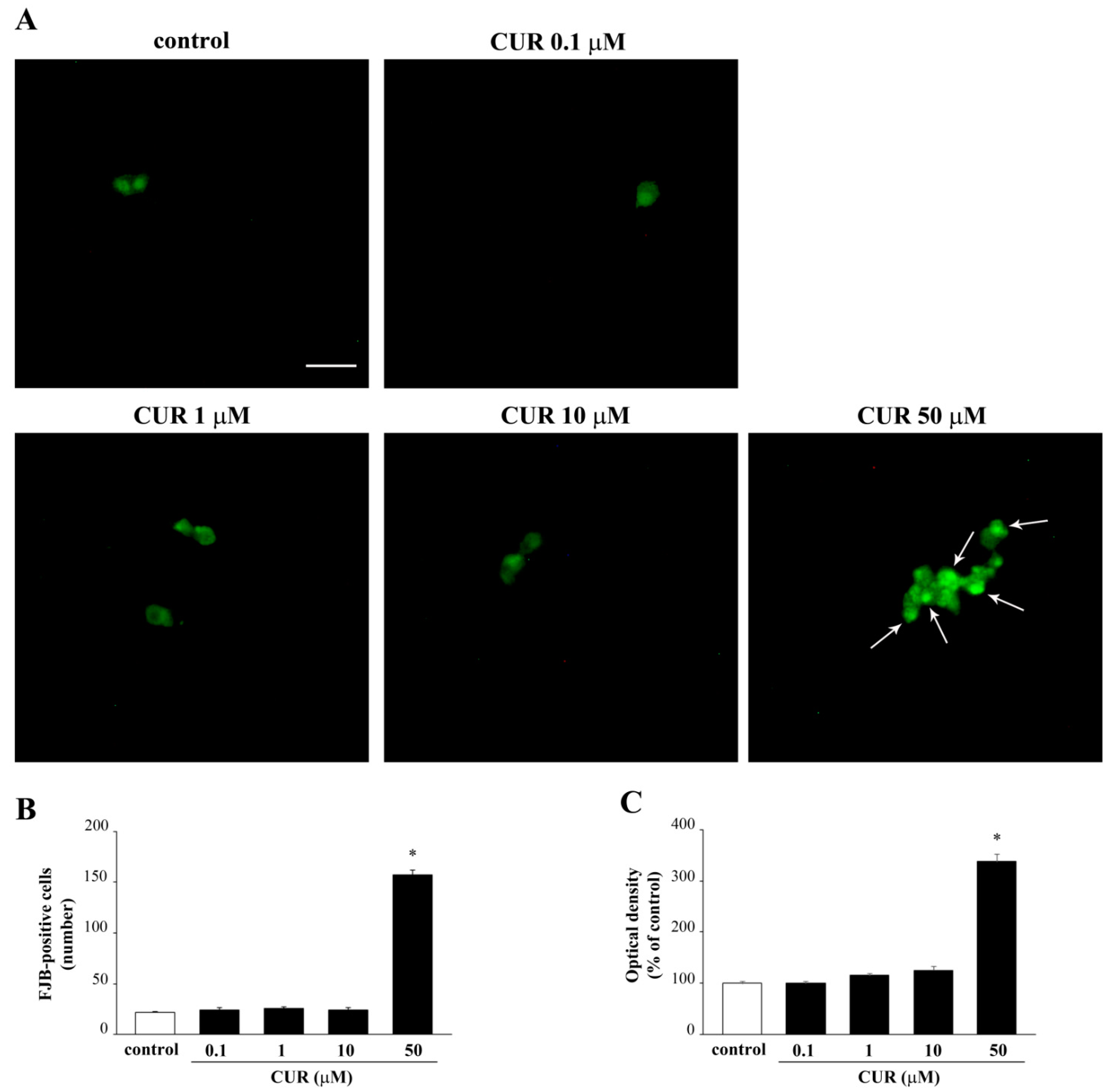 Molecules 26 02493 g002 Molecules 26 02493 g002