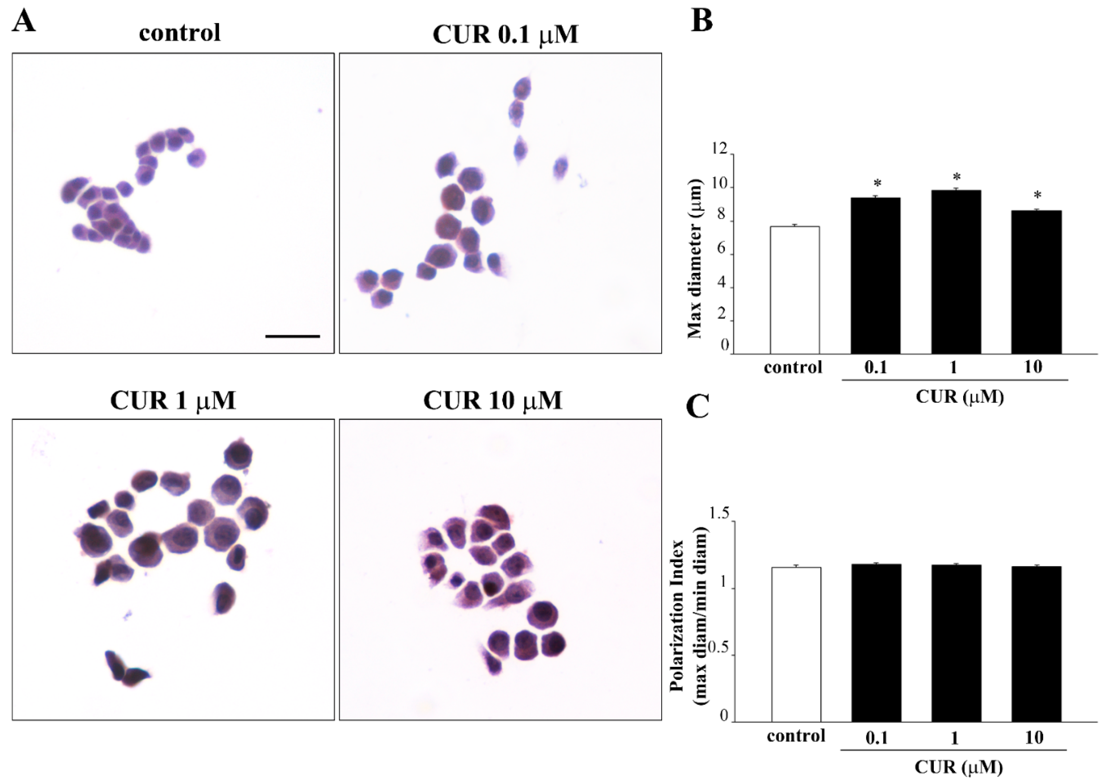 Molecules 26 02493 g006 Molecules 26 02493 g006