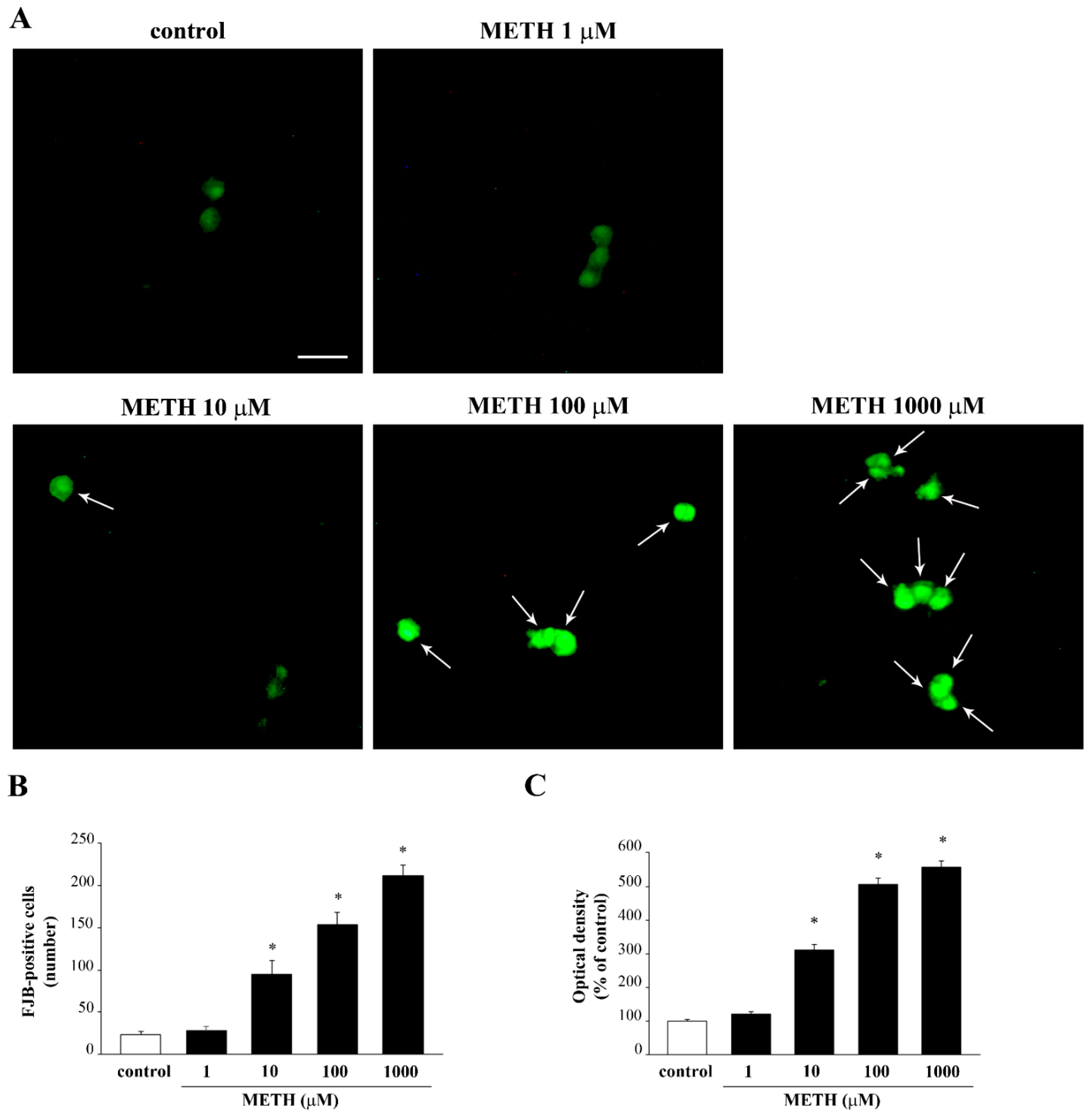 Molecules 26 02493 g008 Molecules 26 02493 g008