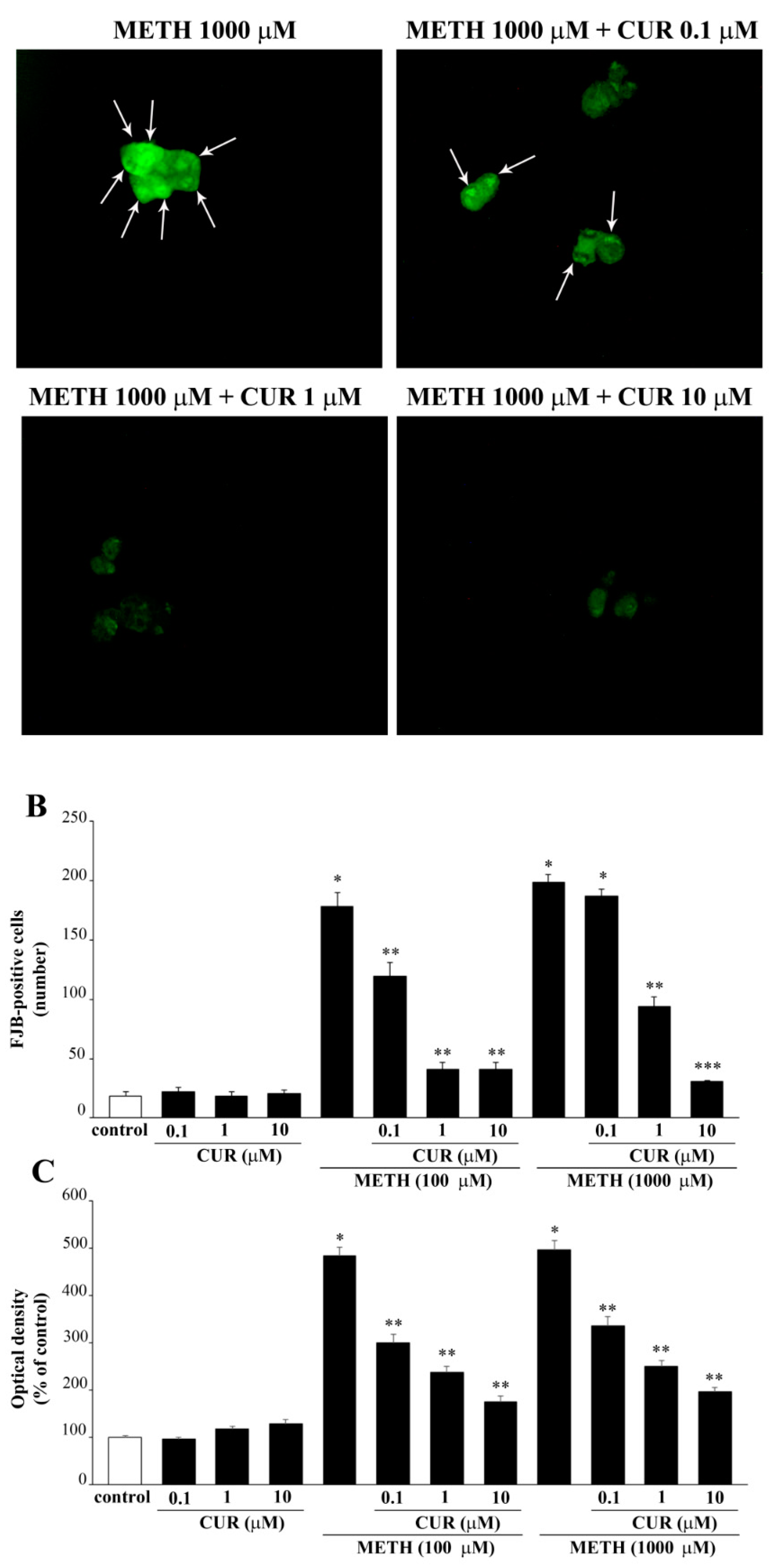 Molecules 26 02493 g011b Molecules 26 02493 g011b