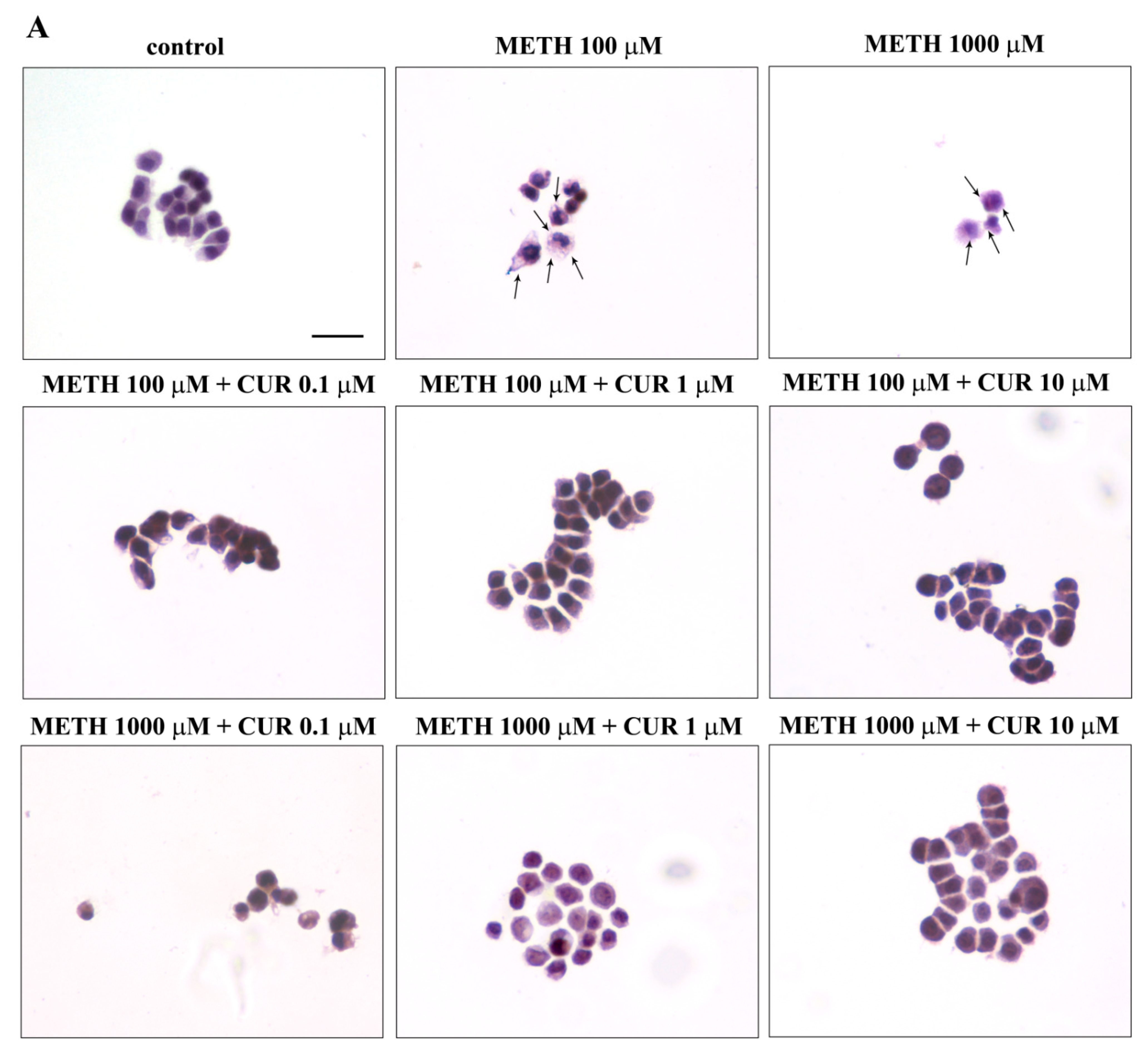 Molecules 26 02493 g012a Molecules 26 02493 g012a