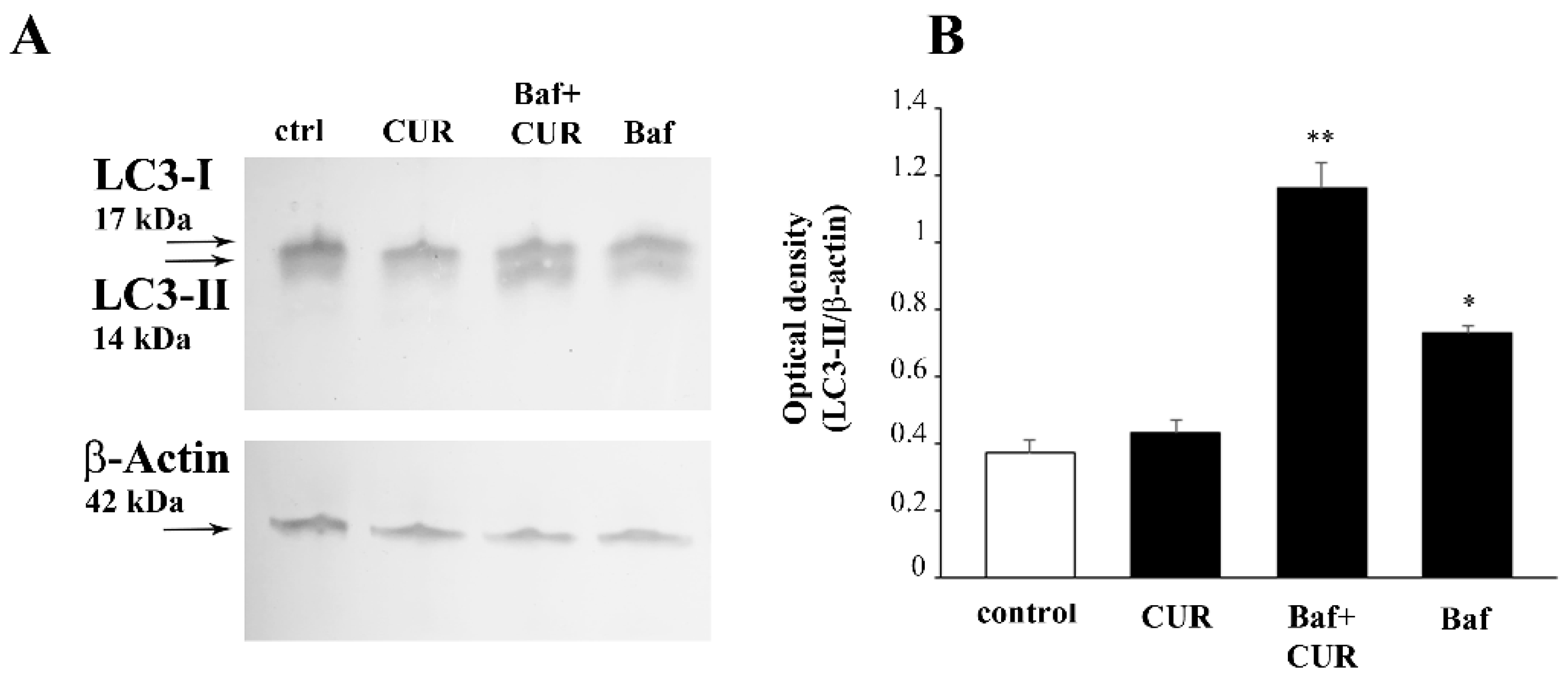 Molecules 26 02493 g015 Molecules 26 02493 g015