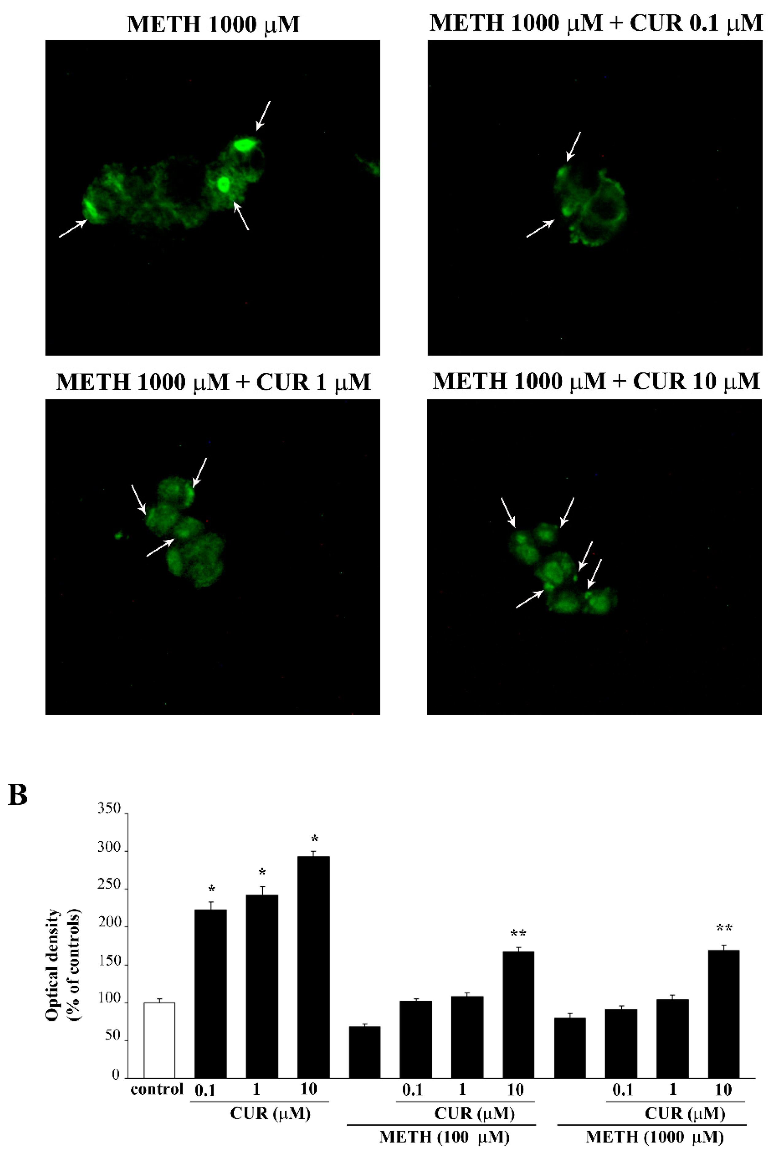 Molecules 26 02493 g016b Molecules 26 02493 g016b