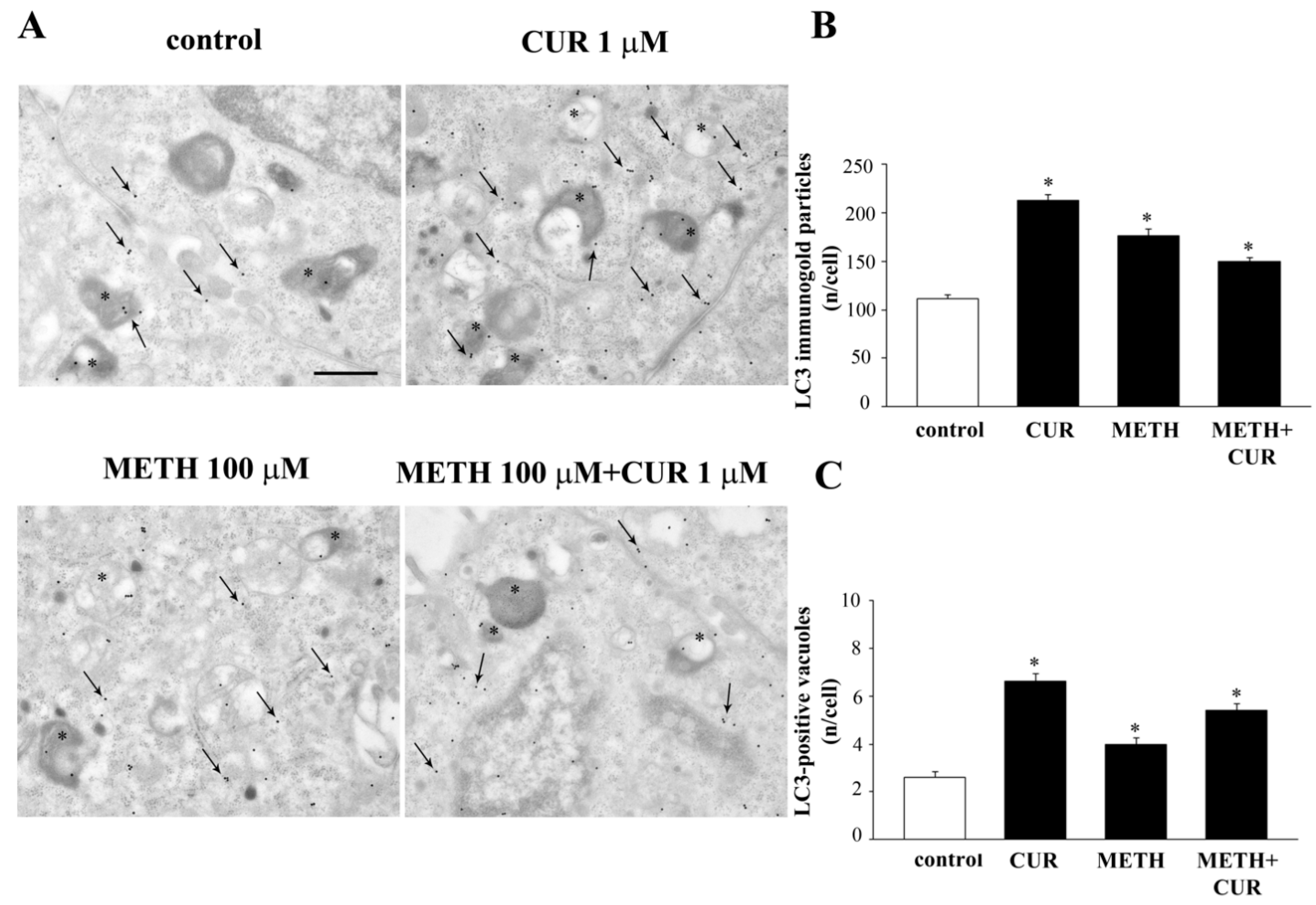 Molecules 26 02493 g017 Molecules 26 02493 g017