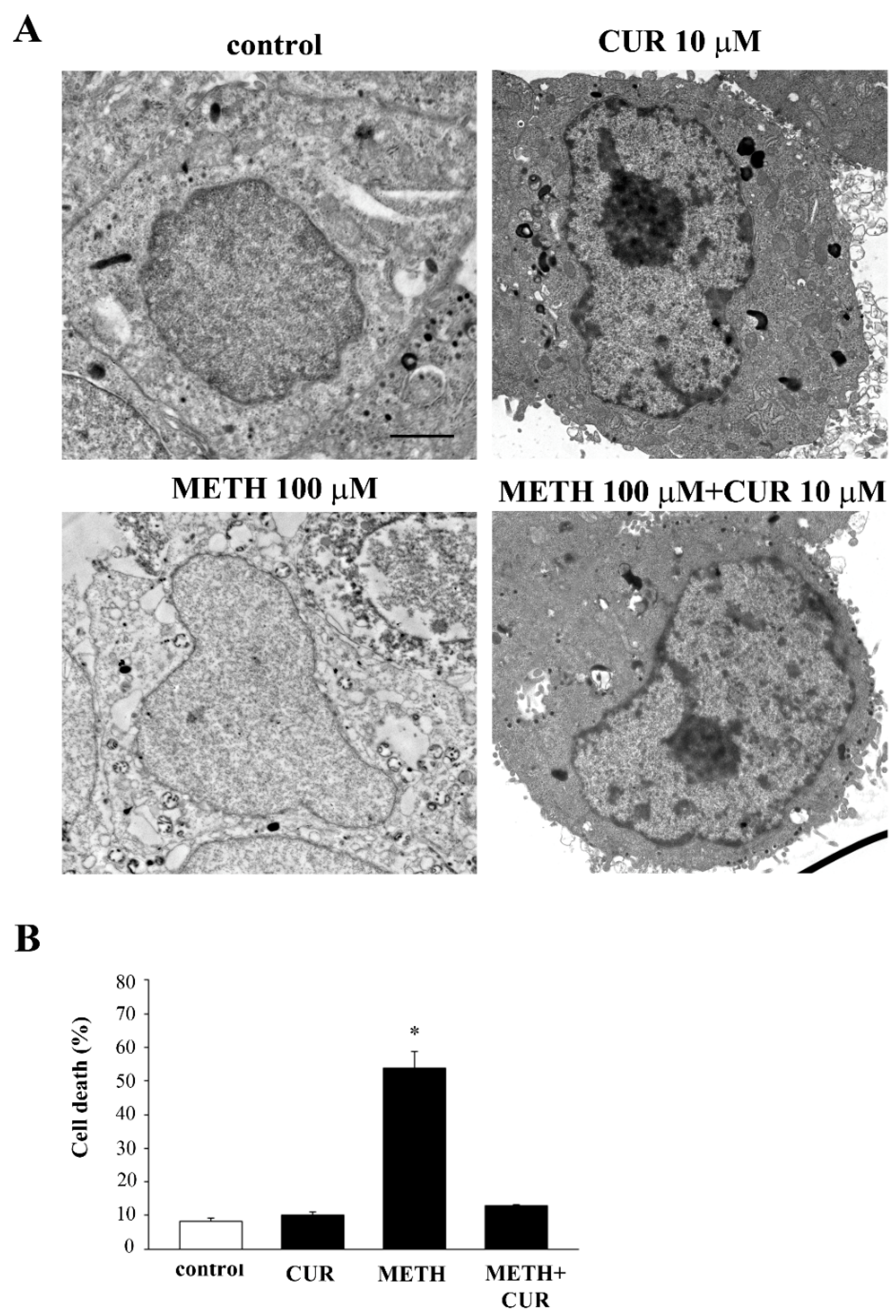 Molecules 26 02493 g019 Molecules 26 02493 g019