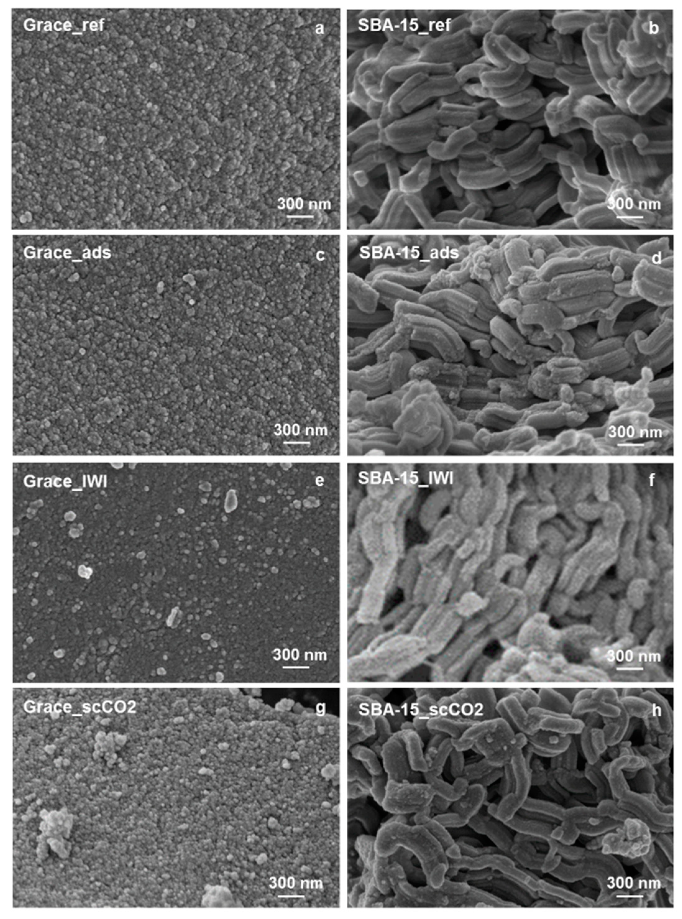 Molecules 26 02500 g005 Molecules 26 02500 g005