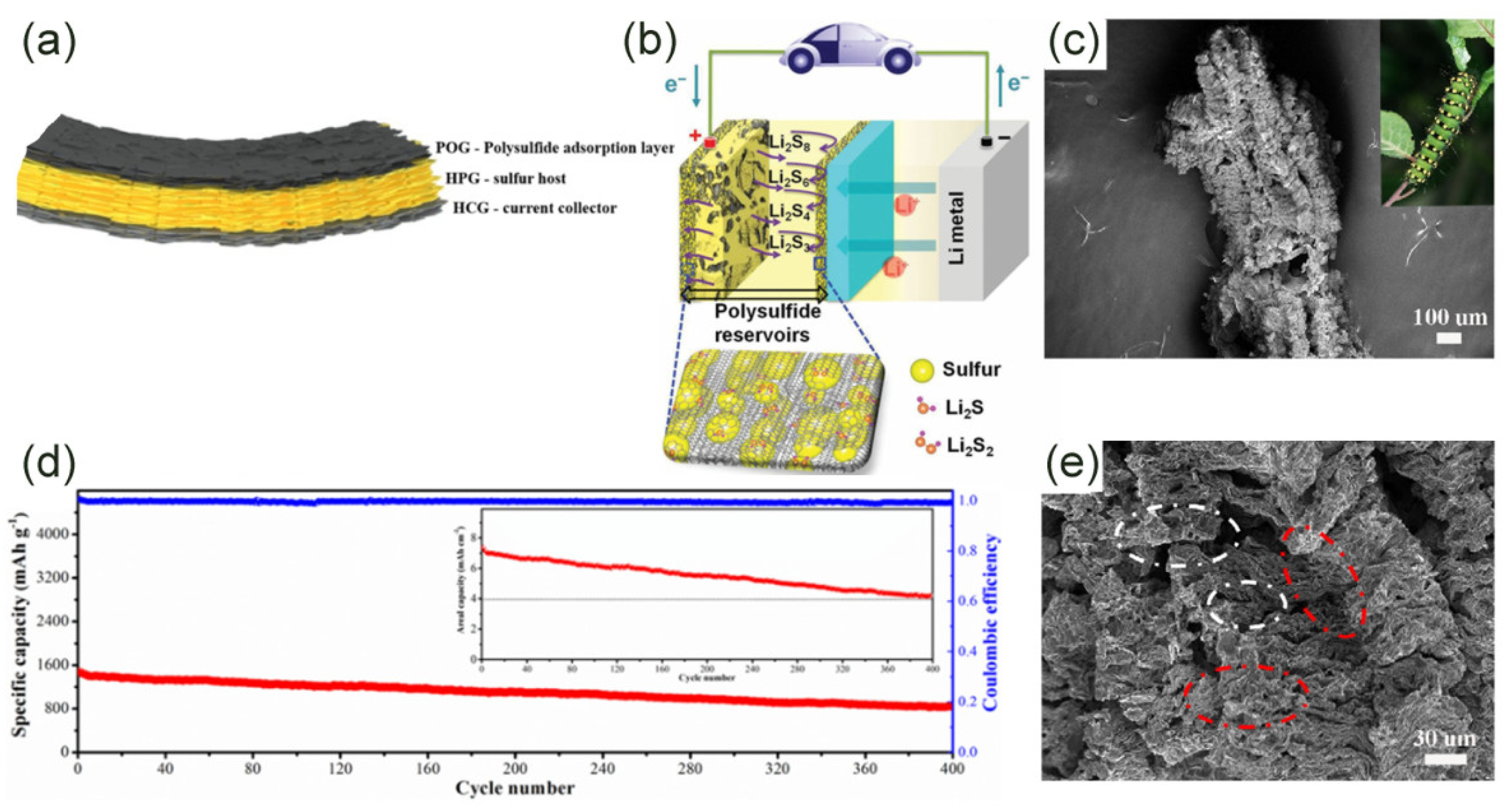 Molecules 26 02507 g002