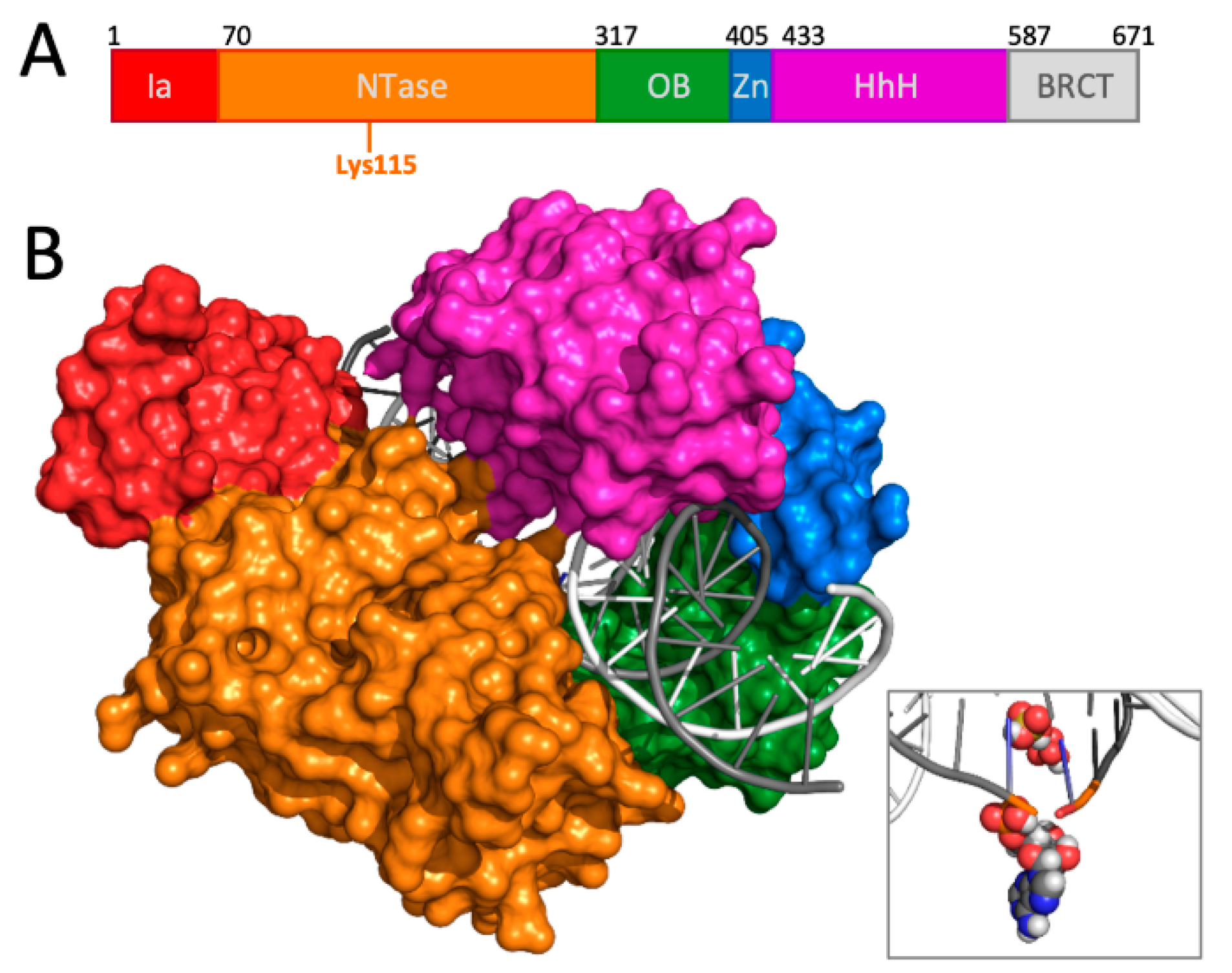 Molecules 26 02508 g001 Molecules 26 02508 g001