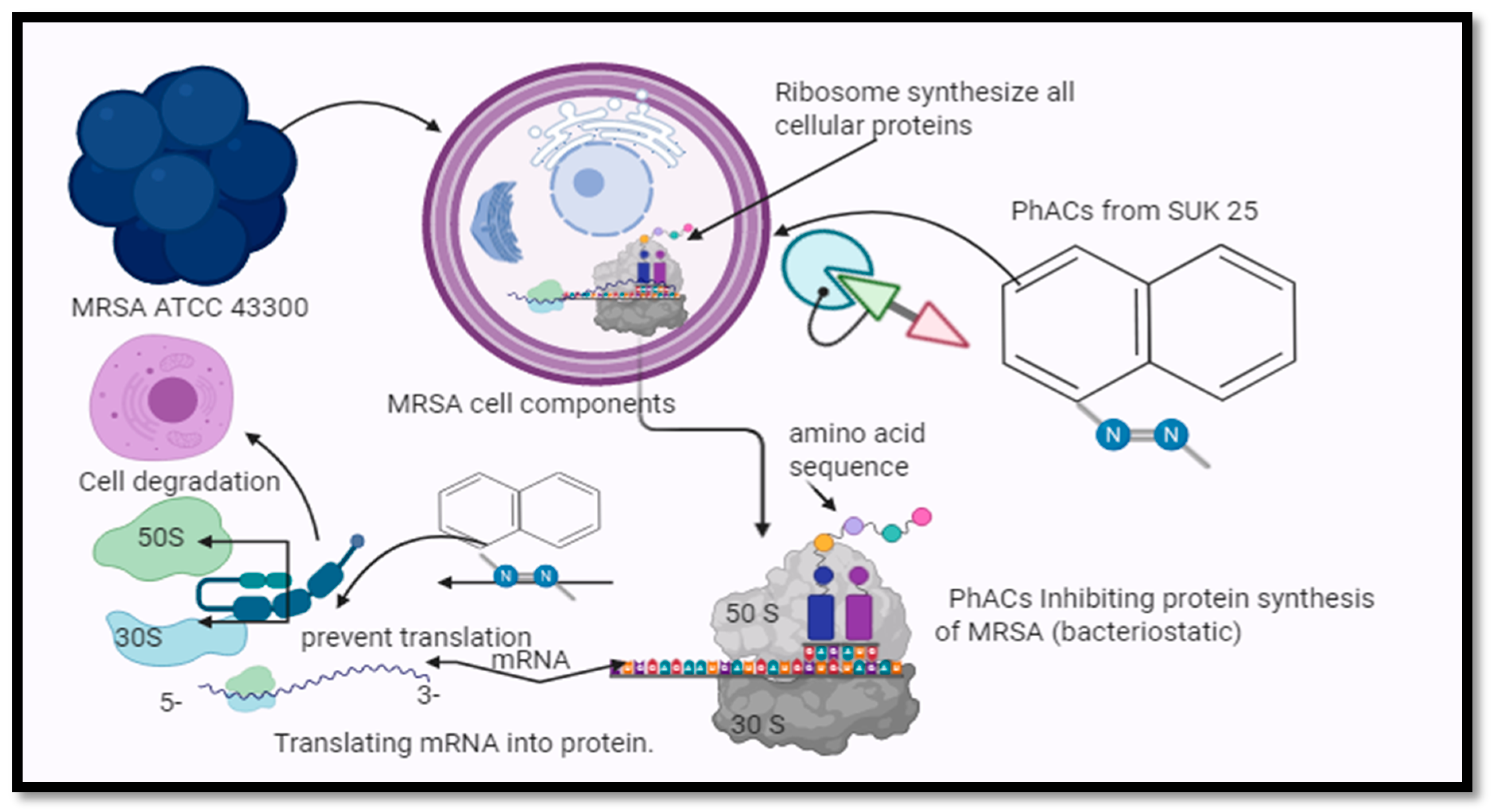 Molecules 26 02510 g005 Molecules 26 02510 g005