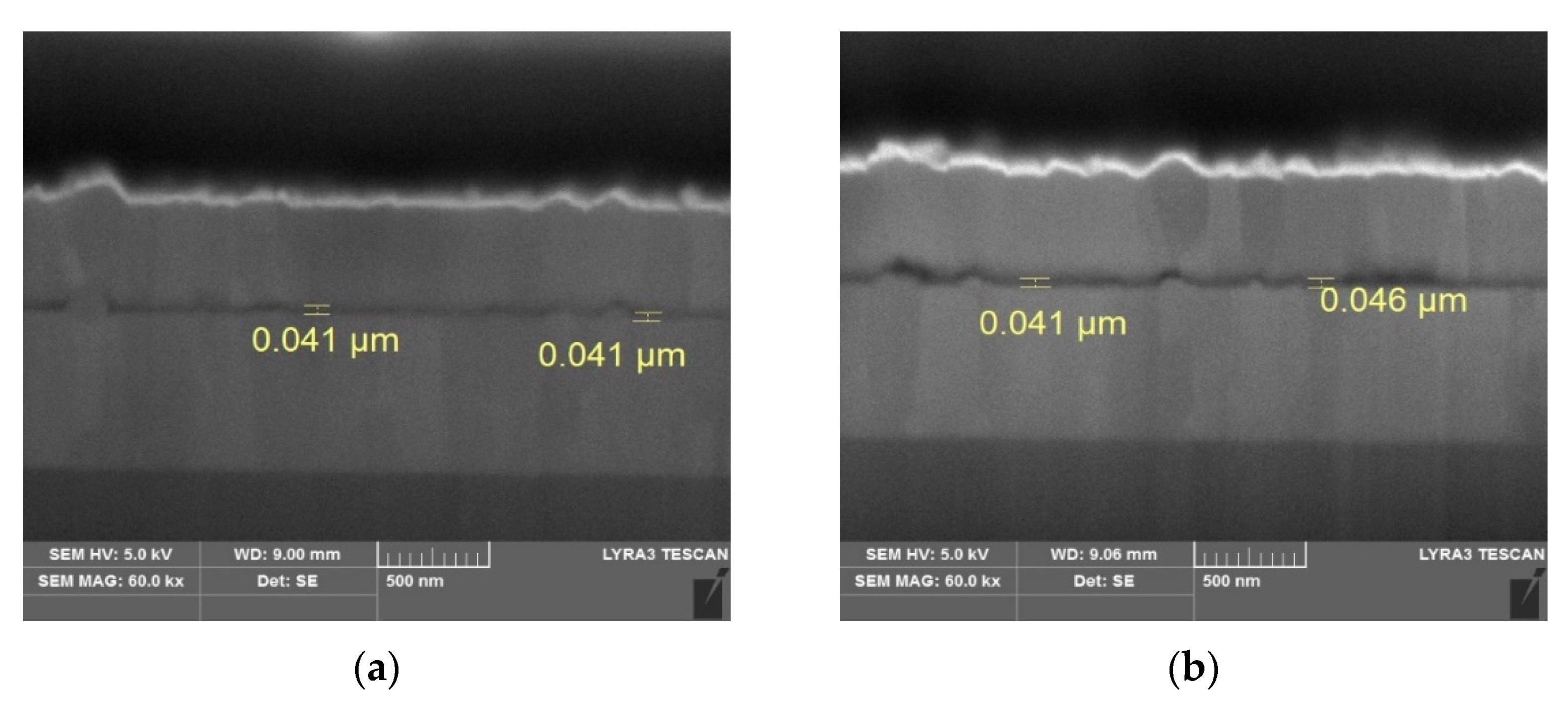 Molecules 26 02512 g003