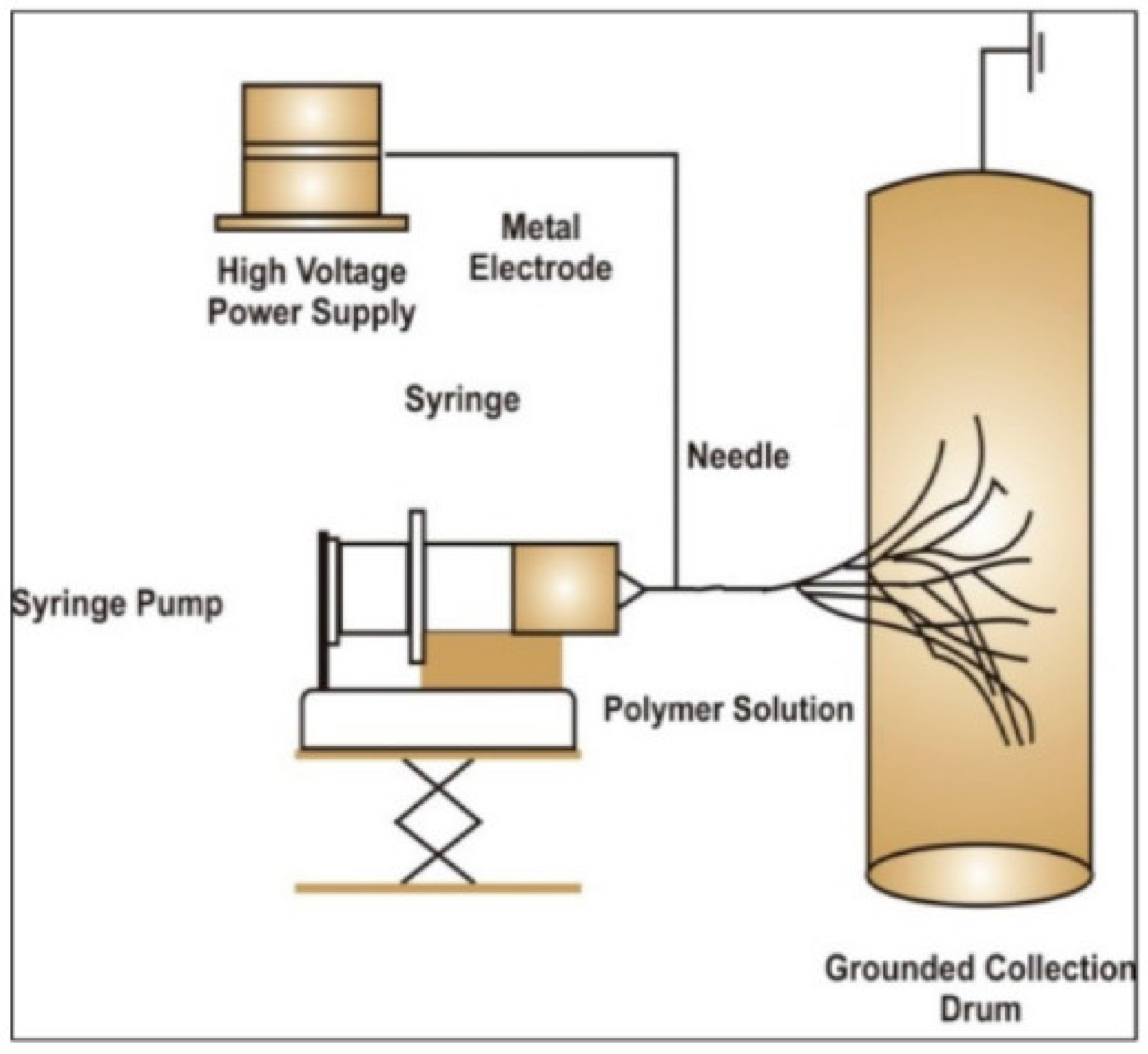 Molecules 26 02518 g002