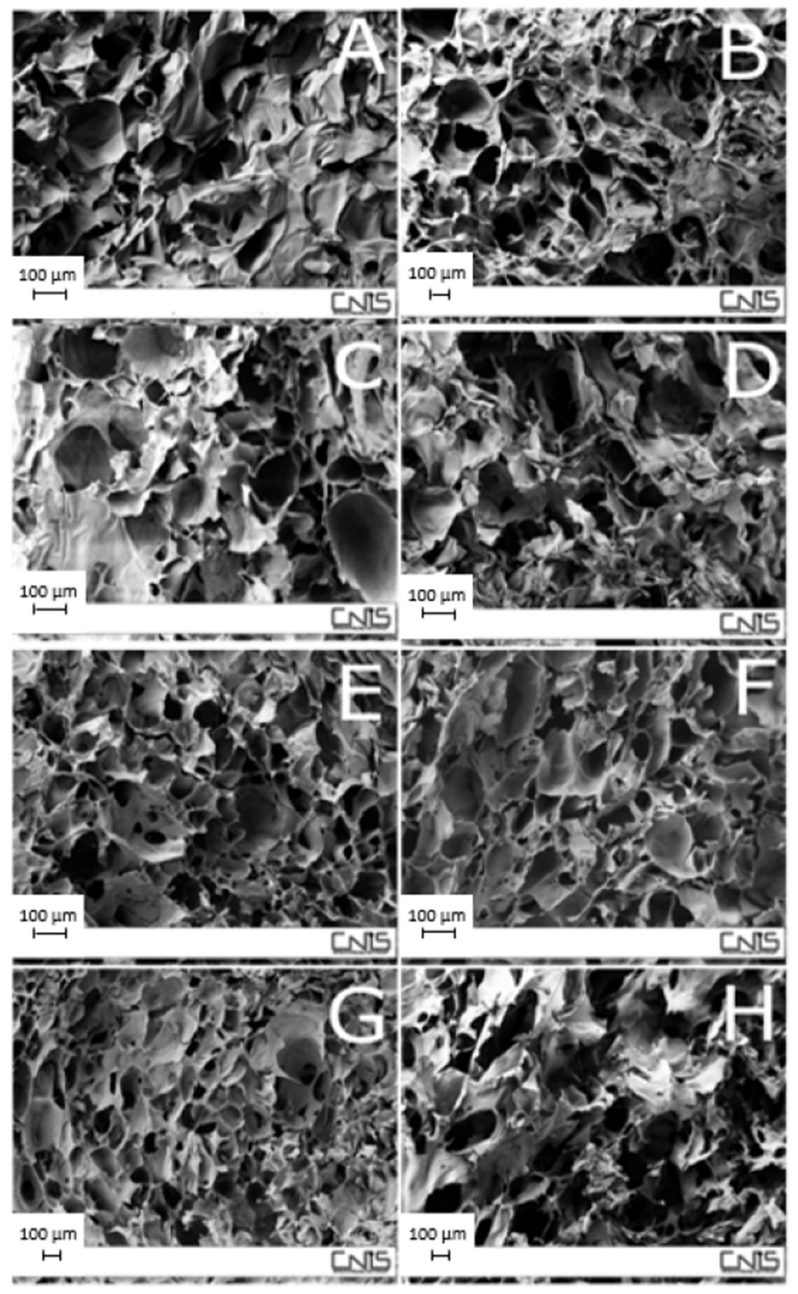 Molecules 26 02518 g004