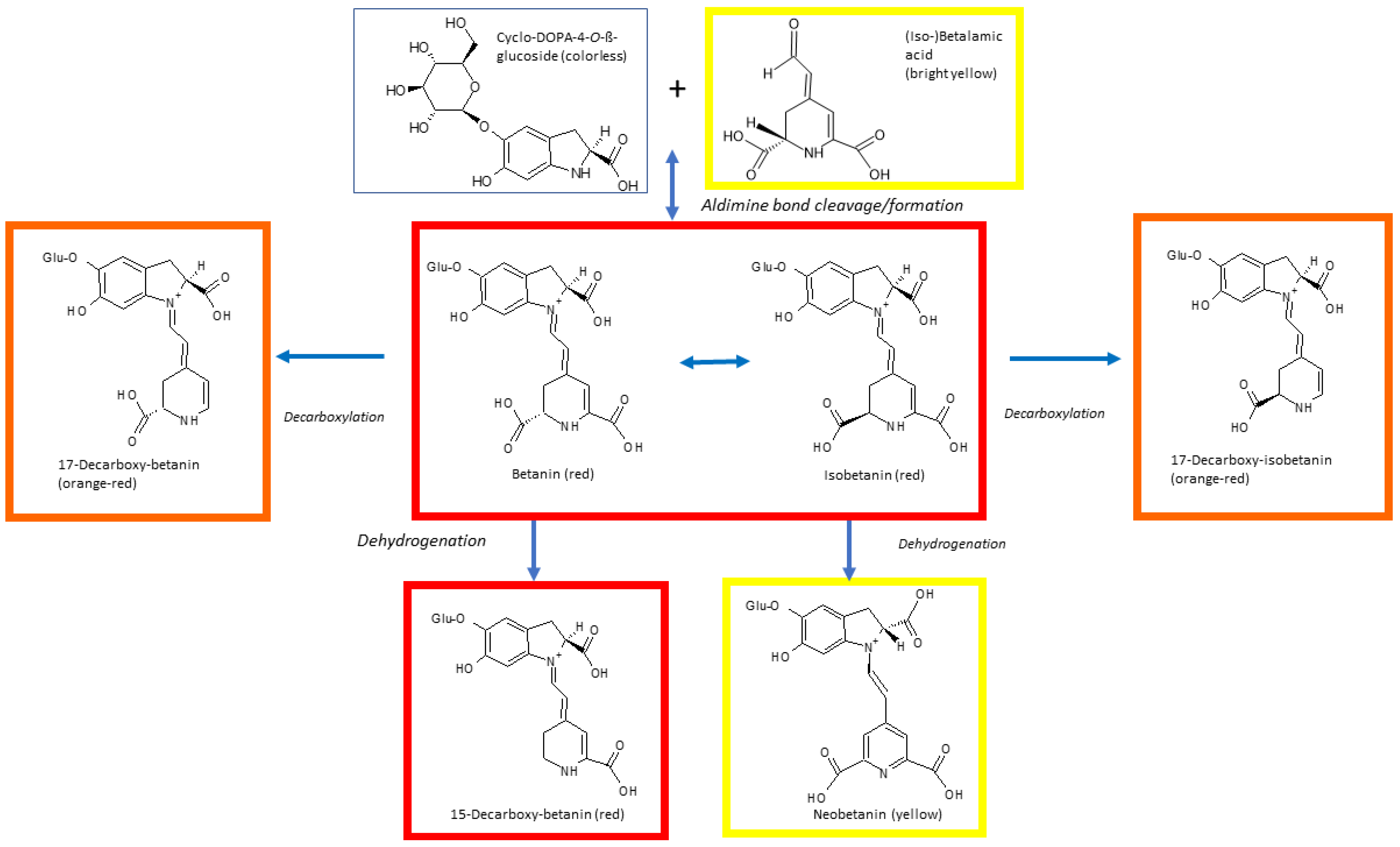 Molecules 26 02520 g004 Molecules 26 02520 g004