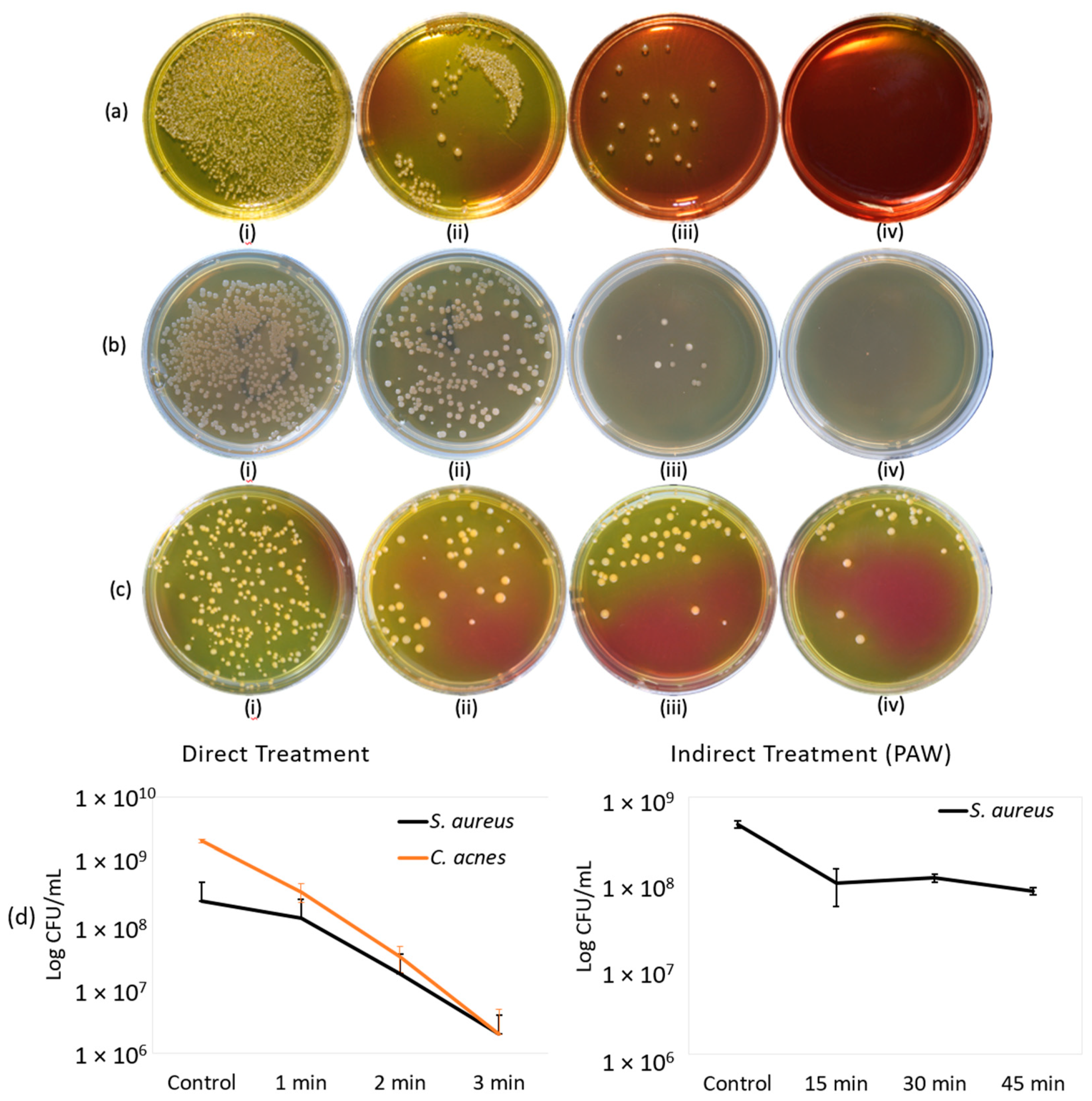 Molecules 26 02523 g001